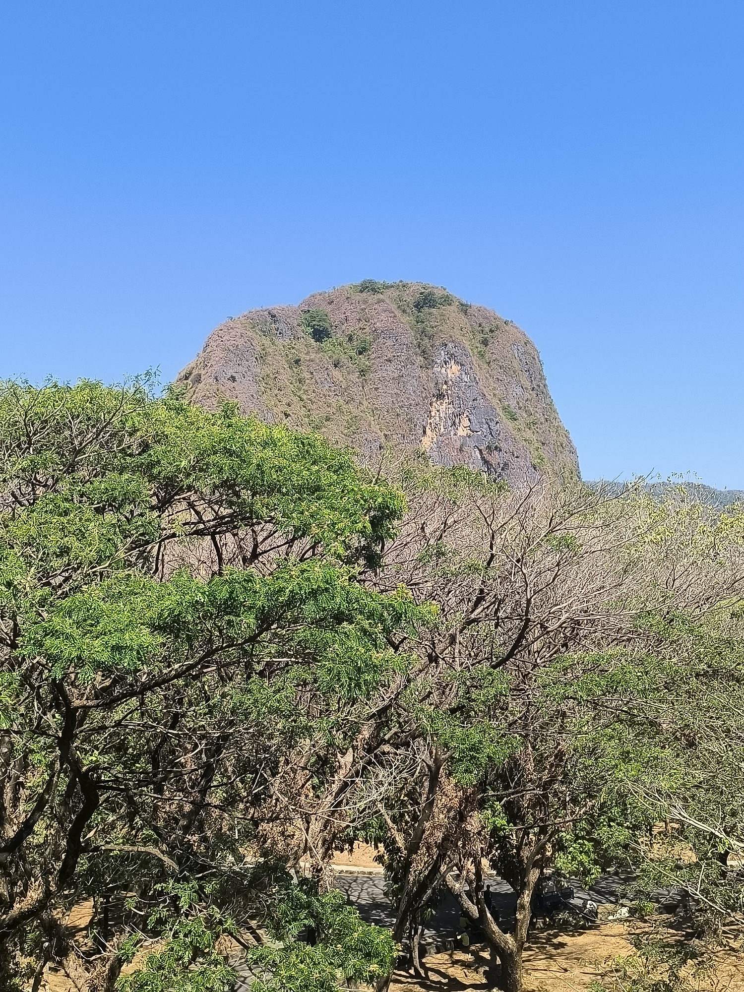 The image shows a large, rocky mountain with a rounded peak, partially covered in vegetation, against a clear blue sky. In the foreground, there are lush green trees and bare branches. A path is visible through the trees, and there appear to be a few parked vehicles in the distance. The scene is dry and sunny, suggesting a tropical or subtropical climate. The image is a vertical shot taken from a slightly elevated perspective, looking towards the mountain. This location is identified as Kalabbirang, Indonesia.