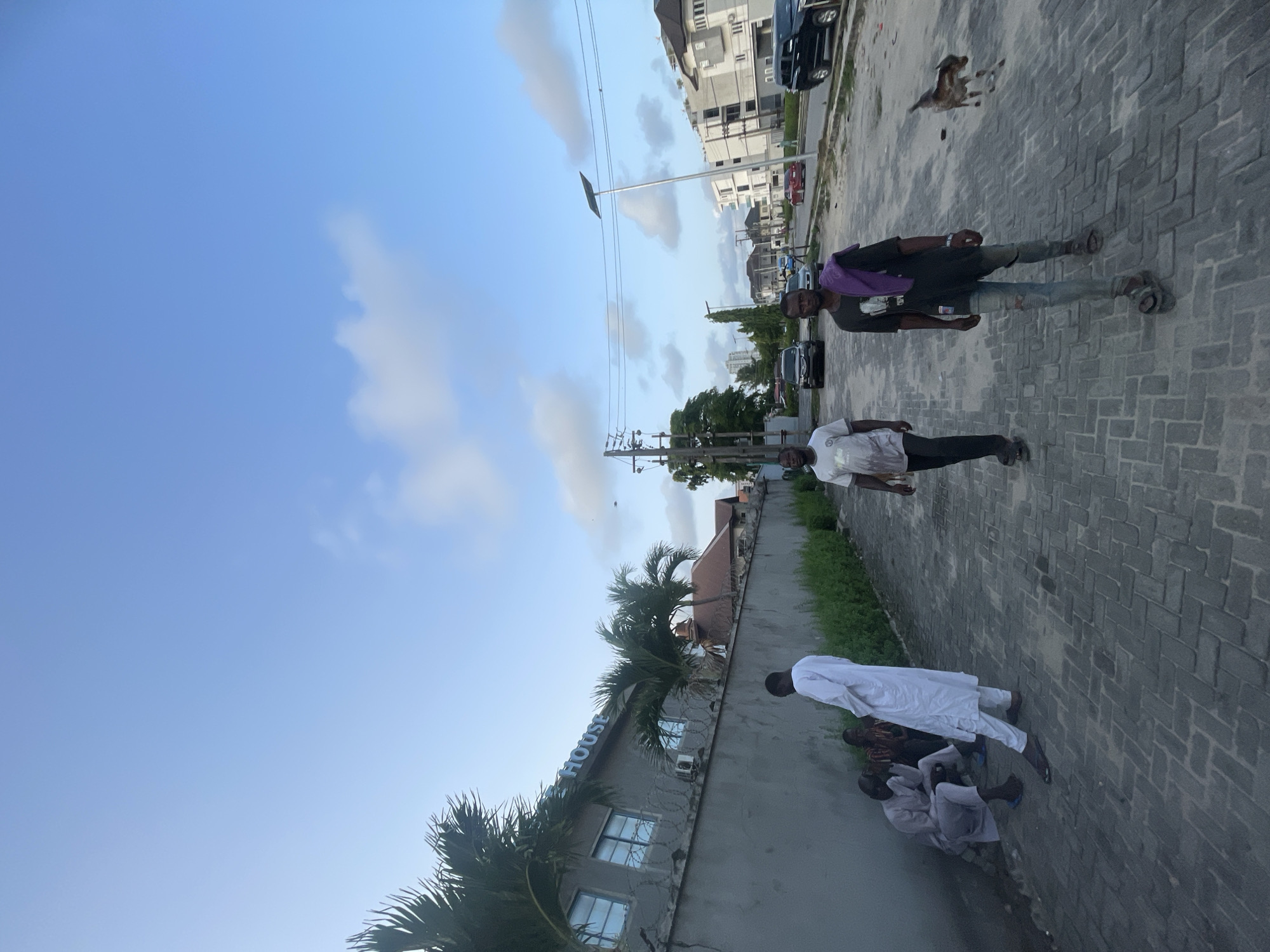 The image is of an outdoor urban scene in Ilado, Nigeria. The camera angle is tilted.
In the background, multi-story buildings, cars, and power lines can be seen.
On the street, two men are walking. One is wearing a purple shirt, dark jacket, and blue jeans. The second man is wearing a white shirt.
On the curb, two men are sitting. Both are wearing white garments.
A dog is walking on the side of the street in the background.