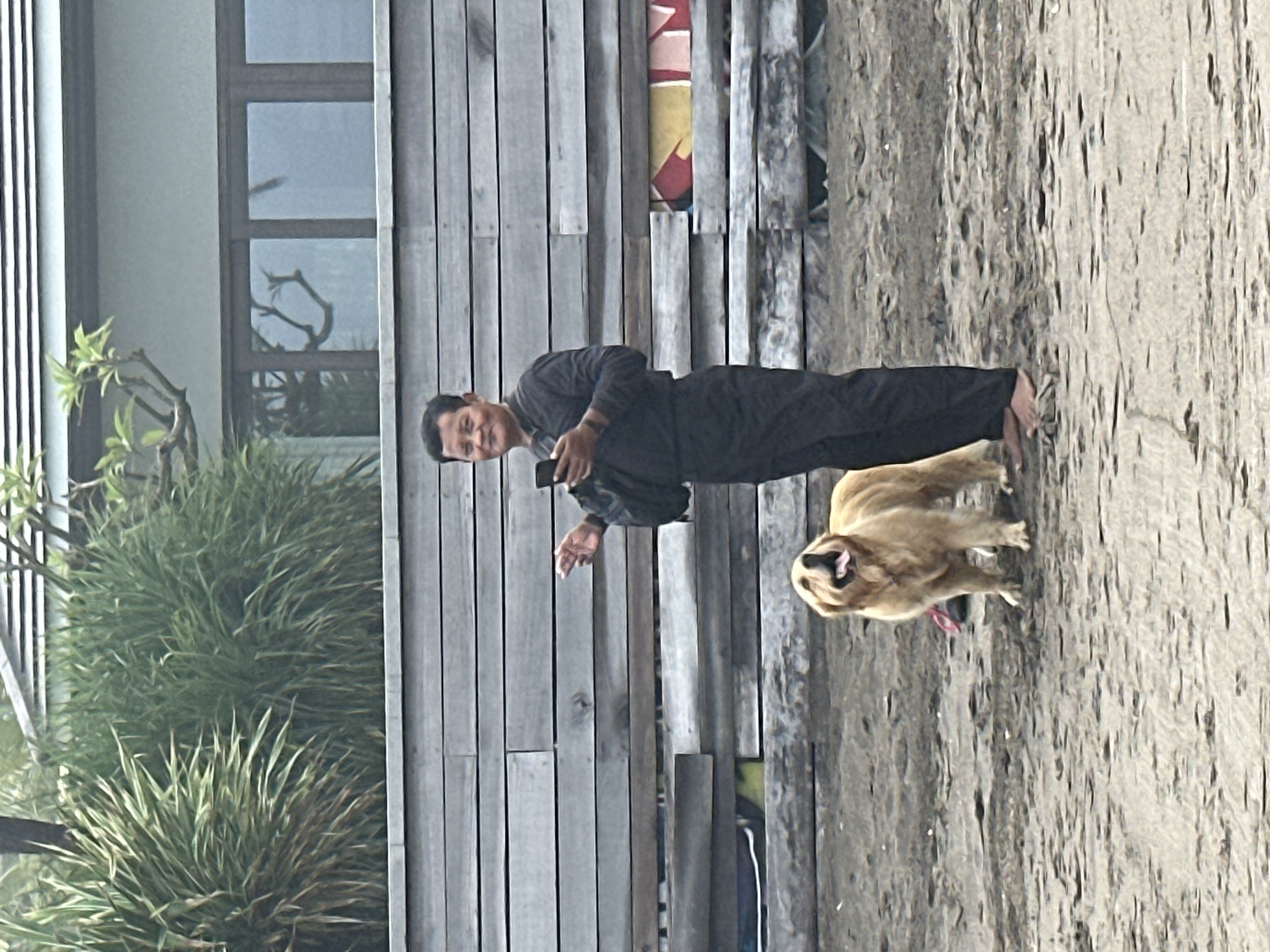 In North Kuta, Indonesia, a man in dark clothing stands barefoot on a sandy beach, holding a smartphone and gesturing with his left hand. Beside him, a golden retriever stands with its mouth open, panting. Behind them is a weathered wooden fence, and beyond that, lush green foliage and a modern building with large windows. The atmosphere appears casual and relaxed, with the man and dog enjoying their time outdoors.