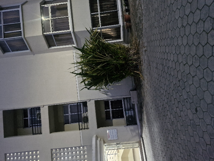 A low-angle view captures a modern building with large windows and balconies, adjacent to a tiled courtyard. The building is bathed in artificial light. A dense, rounded bush sits at the corner of the building, near an entrance with a sign. The courtyard's interlocking hexagonal tiles create a repeating pattern. The shot's orientation is slightly tilted.