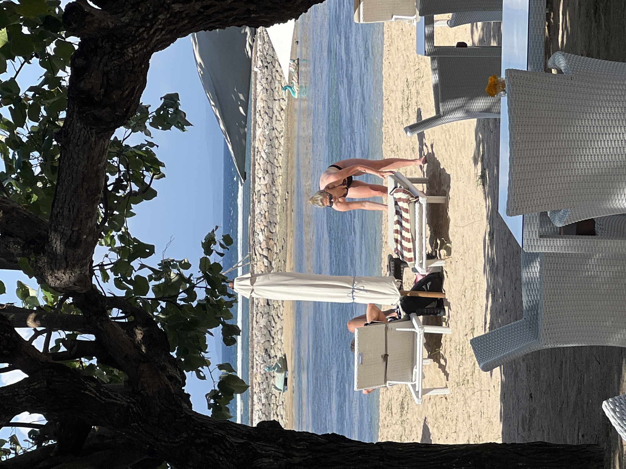 This media file captures a scene at a beach resort in Denpasar, Indonesia. The image shows two individuals on a sandy beach near the ocean. One person, wearing a black bikini, is bending over a white lounge chair, possibly adjusting a towel or their belongings. The other person is sitting on another lounge chair, partially obscured by a closed white umbrella. The setting includes white wicker furniture, including chairs and tables, arranged on the sand. The ocean is visible in the background, with calm blue water and a stone breakwater. The time of day appears to be daytime, with bright sunlight casting shadows on the sand, suggesting clear weather. The overall mood is relaxed, typical of a beach vacation. The image is framed by the dark branches and green leaves of a large tree in the foreground, adding a natural element to the scene.