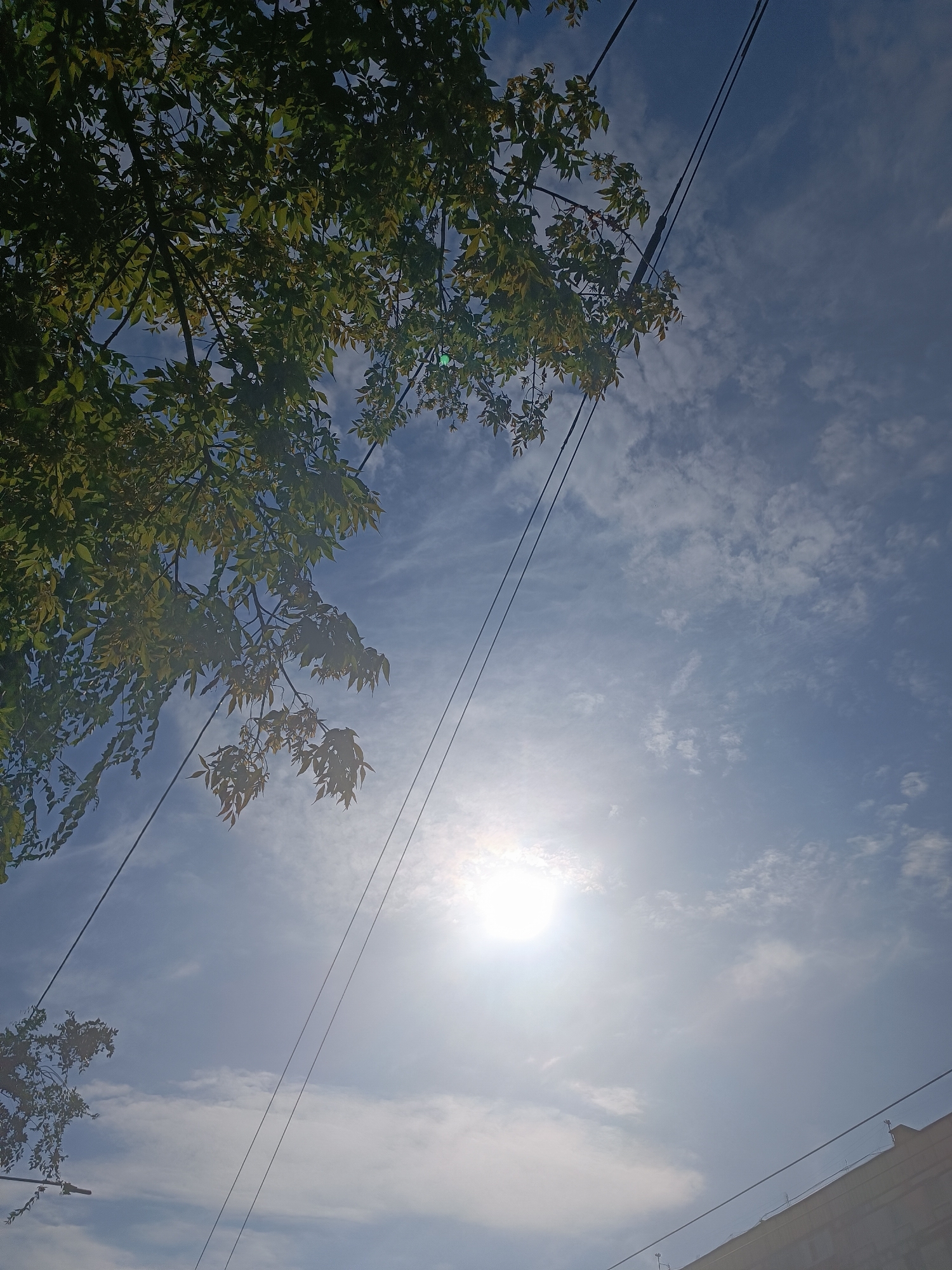 An upward shot of a bright, sunny sky with scattered clouds is featured. The sun is visible and appears to be shining brightly. Two dark electrical wires traverse the sky diagonally from left to right. On the left side of the image, a tree with green leaves is visible, extending into the frame from the top and left. In the bottom right corner, the edge of a building is visible. The location is Unknown, Unknown.