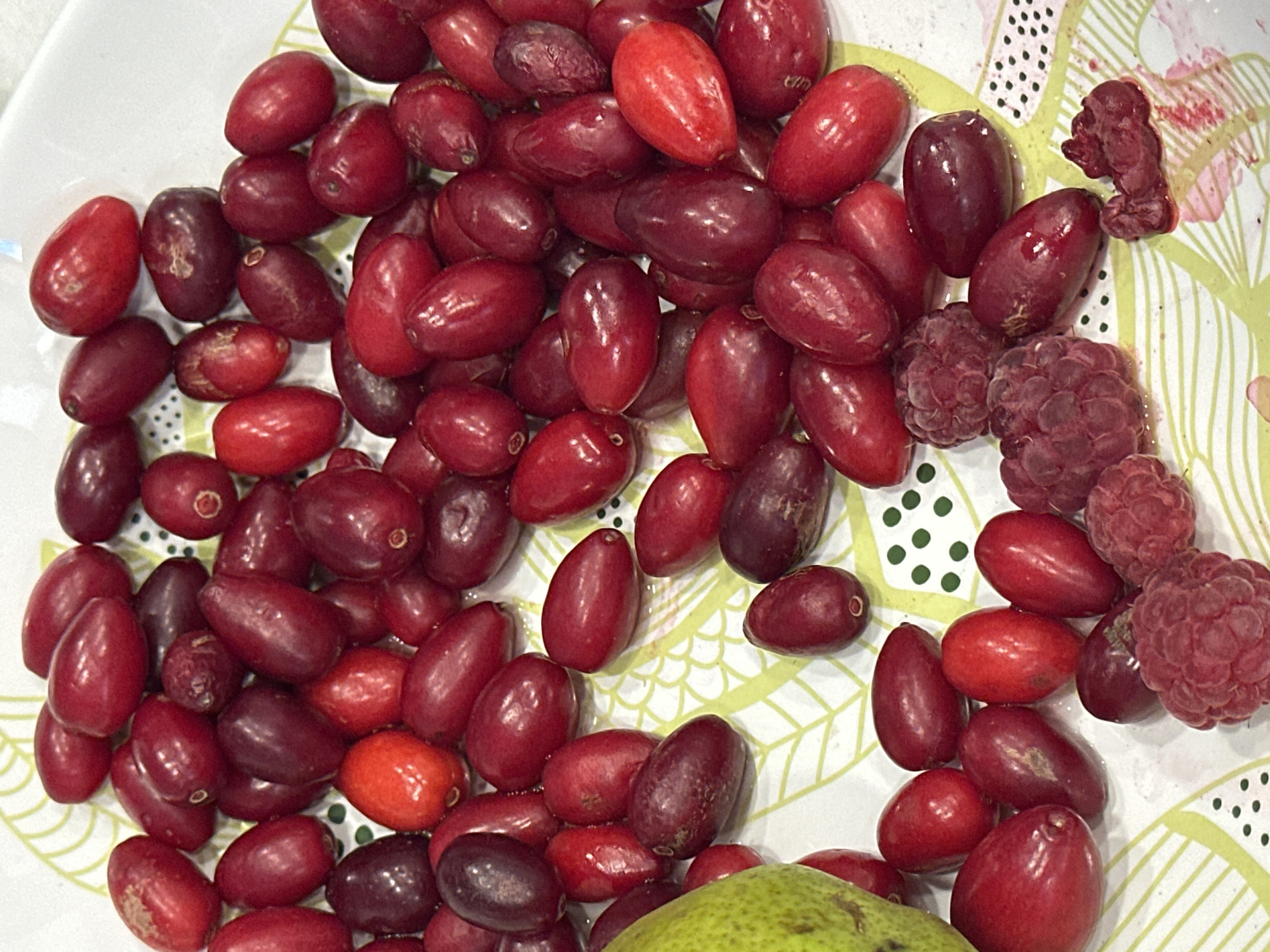 A close-up, top-down shot shows a scattering of bright red and dark red berries, along with a few raspberries, on a white plate with a light green botanical pattern. The berries appear to be ripe and glossy. The setting is indoors. No location in Nevinnomyssk, Russia can be determined from the image.