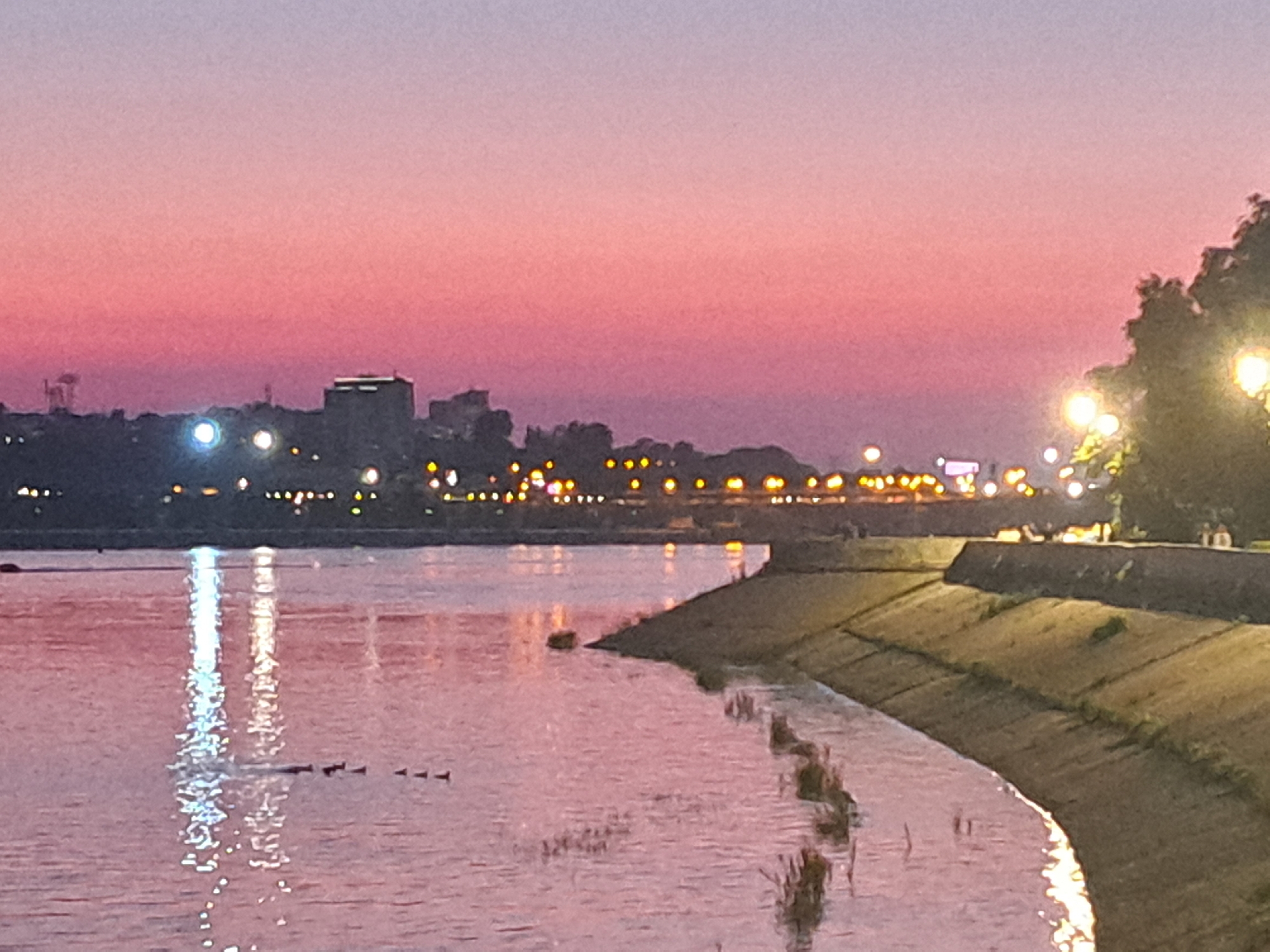 The image depicts a waterfront scene at dusk or dawn, likely in Irkutsk, Russia, given the context. The sky displays a gradient of colors, transitioning from a pale lavender at the top to a vibrant pink and then a deeper magenta closer to the horizon. Silhouetted against the sky is a city skyline characterized by buildings and structures, some with illuminated windows. The foreground is dominated by a body of water, reflecting the sky's colors and the distant city lights in shimmering streaks. Along the right bank of the water, a paved embankment slopes down towards the water, with what appears to be a concrete retaining wall and some sparse vegetation. Several streetlights are visible along the embankment and behind the city skyline, casting a warm glow. A small group of what appear to be birds or ducks are present on the water, forming a line. The overall atmosphere is serene and twilight-hued.