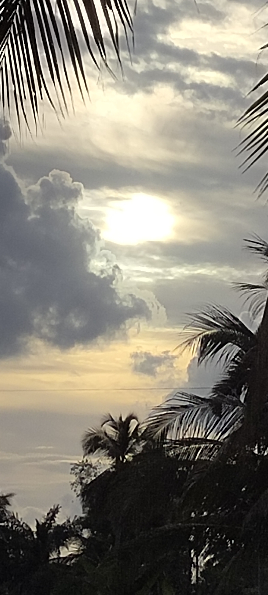The image shows a view of the sky at possibly sunset, with palm tree fronds framing the scene. The bright sun is obscured by clouds, creating a diffused light. The sky shows layers of grey and white clouds. In the foreground, there are silhouettes of more palm trees. The location is likely Aluekeujruen, Indonesia, given the palm tree vegetation. No people are visible.