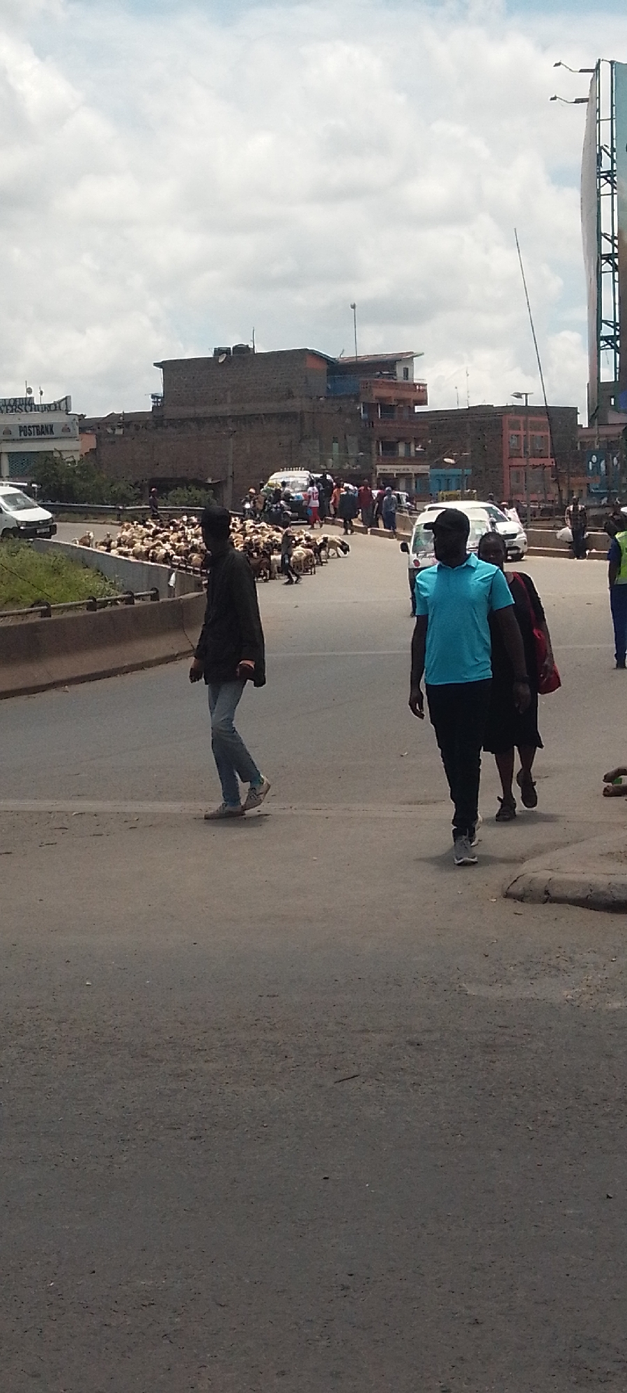 The image depicts a street scene in Nairobi, Kenya. A large flock of sheep is crossing a road, causing pedestrians to navigate around them. A man wearing a black jacket and jeans walks to the left, while a man in a blue shirt and a woman carrying a red bag walk to the right. A partially visible uniformed traffic officer is on the right side. Cars and buildings are visible in the background, along with a Postbank sign and a billboard. The sky is cloudy.