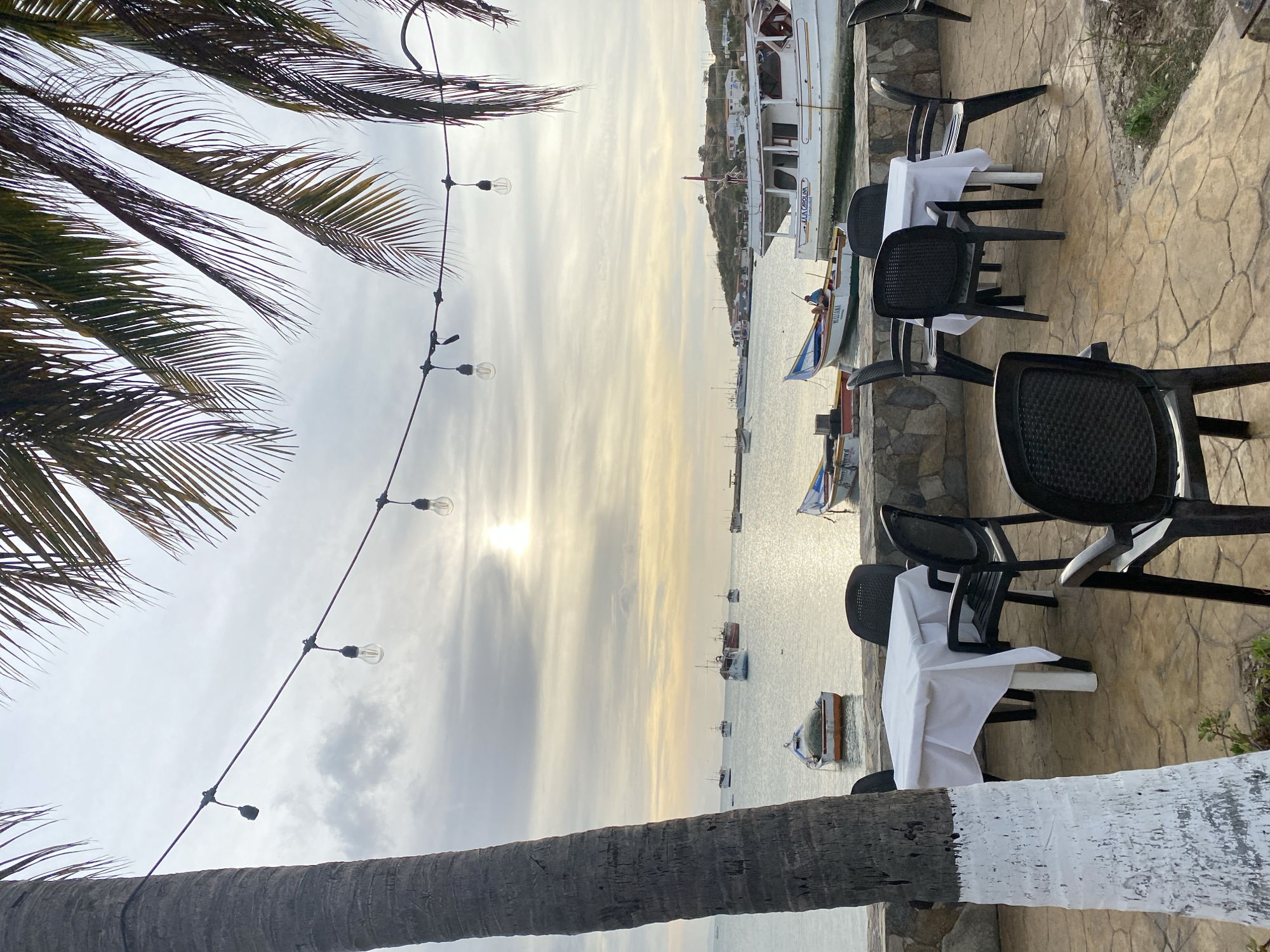 The image depicts a coastal scene in Juan Griego, Venezuela, illuminated by the soft light of either dawn or dusk, with a cloudy sky. In the immediate foreground on the left, a large palm tree trunk, painted white at its base, is visible. Dark green palm fronds extend into the upper frame from the left and right. A string of decorative outdoor lights, consisting of at least six clear globe bulbs (one socket appears empty or unlit), is suspended horizontally across the upper mid-ground.
Below these lights, an outdoor dining area is situated on a patio paved with irregular, light brown flagstones. Two rectangular tables are present, each covered with a white tablecloth. Multiple unoccupied black plastic chairs are arranged around these tables. This patio is separated from a calm body of water, likely a bay or harbor, by a low, rough-hewn stone wall.
Numerous boats are anchored or moored in the bay. A small, white and blue fishing boat named "MELIANA" is visible in the mid-ground, with a single individual seated within. Further right, a larger white cabin cruiser with a red mast, identified as "JULIA CAROLINA", is moored closer to the shore. Approximately ten additional small to medium-sized vessels, consistent with fishing boats, are scattered across the water. The background reveals a distant, low-lying hilly coastline with scattered buildings visible.