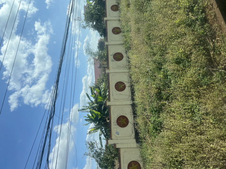 An outdoor scene in Trung Hồ, Vietnam, depicts a concrete wall running horizontally across the mid-ground, featuring five visible circular emblems containing a yellow five-pointed star on a reddish-brown background, spaced along its length. The wall is light beige, exhibiting signs of age and discoloration. Behind the wall, dense green foliage, including banana trees, partially obscures a building with a reddish-brown tiled roof and light-colored walls. The foreground consists of an unkempt patch of overgrown green and brown vegetation. Above the wall and foliage, the sky is clear blue with scattered white cumulus clouds. Multiple black electrical or utility lines are strung horizontally across the upper portion of the sky. No individuals, animals, or active interactions are present in the frame.