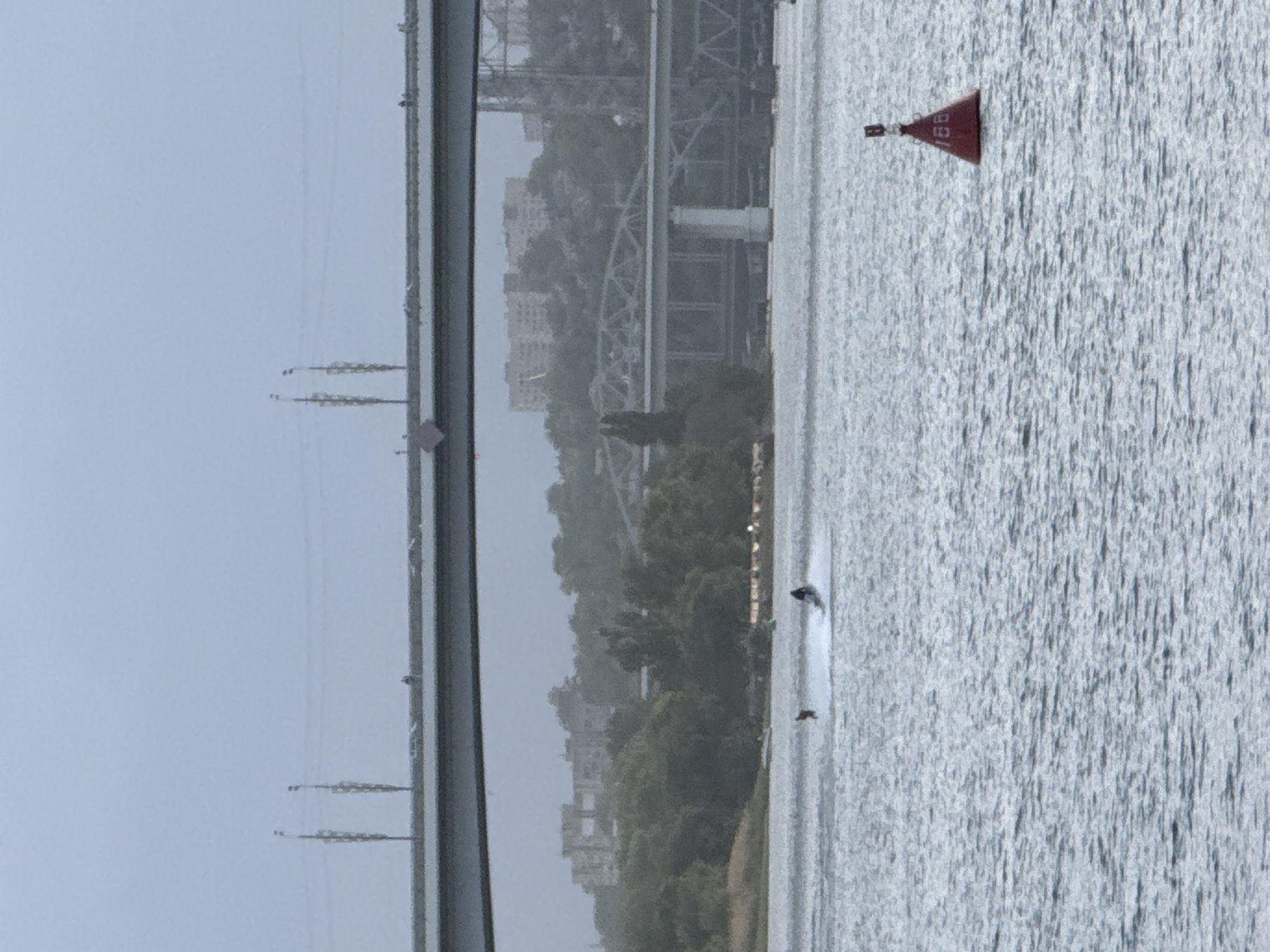 The image depicts a body of water, likely the Don River in Rostov-on-Don, Russia, with a red navigational buoy floating on the surface. In the background is the Rostov-on-Don bridge, a multi-span steel structure spanning the river. The city skyline is visible in the distance behind the bridge, with buildings and trees lining the riverbank. A person appears to be wakeboarding or riding a personal watercraft on the water. The sky is overcast, creating a hazy, low-contrast atmosphere. There are also electrical lines visible on the left side of the bridge structure.