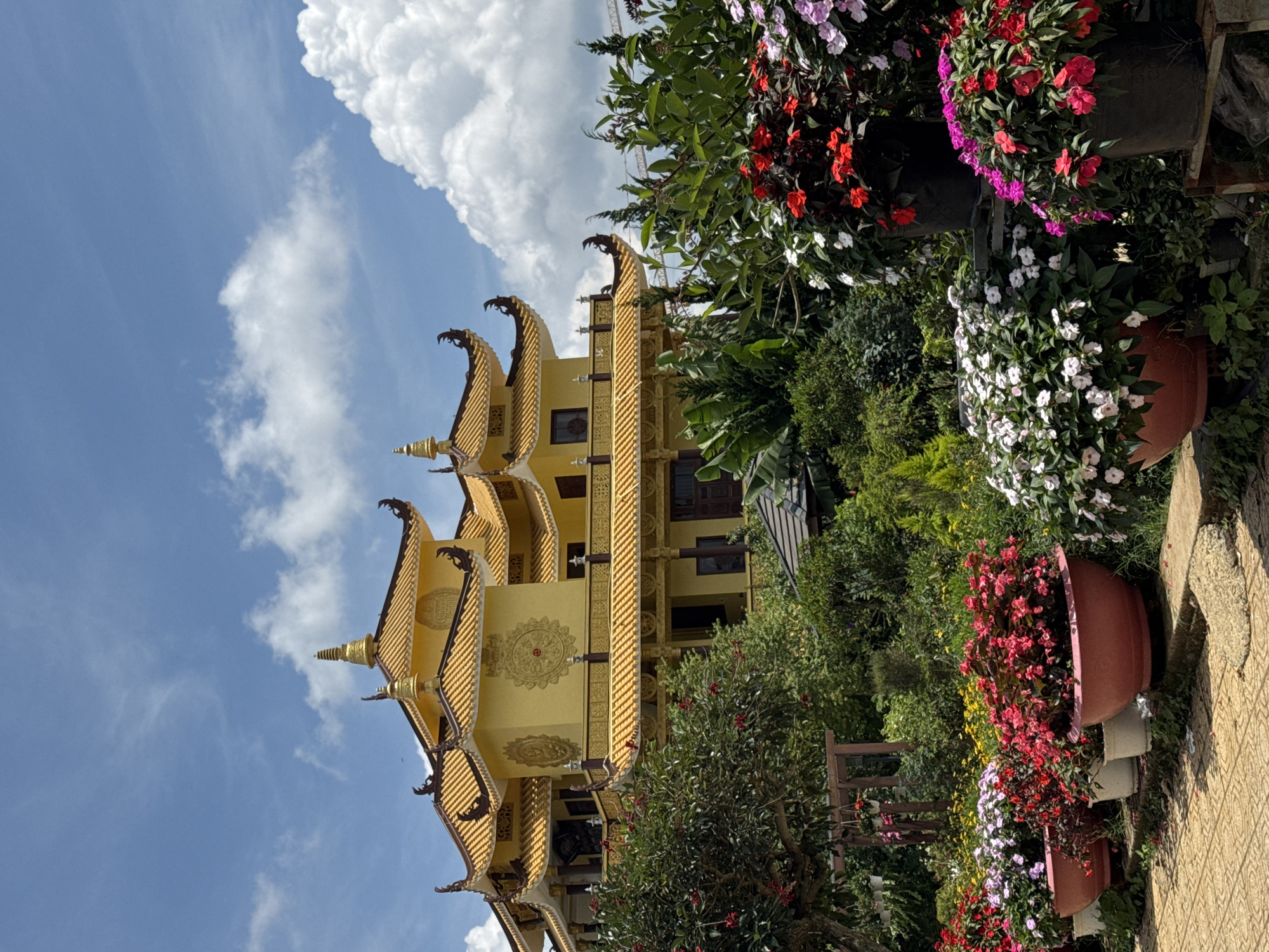 The image showcases a multi-tiered, golden-hued Buddhist temple against a backdrop of a blue sky dotted with white clouds. The temple features elaborate, upturned eaves and decorative golden spires.
Adjacent to the temple, lush vegetation is visible, including various potted plants filled with flowers of different colors (red, white, pink, and purple). The scene suggests a well-maintained garden setting.
Based on the architectural style and available context, this is likely the Golden Temple, located in the city of Da Lat, Vietnam.