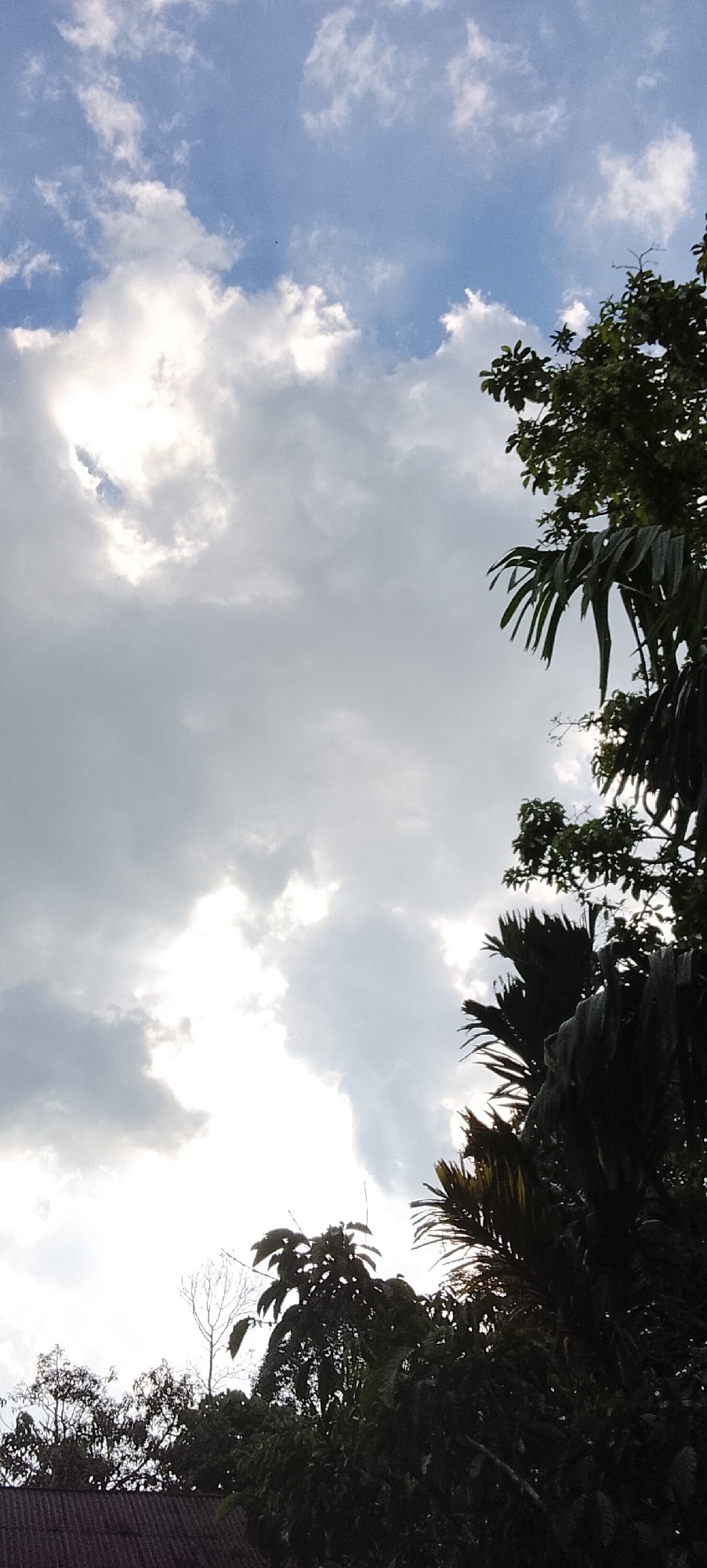 This image captures a view of the sky and treetop canopy from the ground level in Padang Dalom, Indonesia. The sky is partially overcast with bright sunlight breaking through the clouds, creating a luminous effect. Lush green foliage from various trees, including what appear to be palm fronds and broad-leafed trees, dominates the lower portion of the frame, silhouetted against the brighter sky. A section of a corrugated roof is visible in the bottom left corner, suggesting a residential or outbuilding. The overall scene depicts a natural, tropical environment under a dynamic sky.