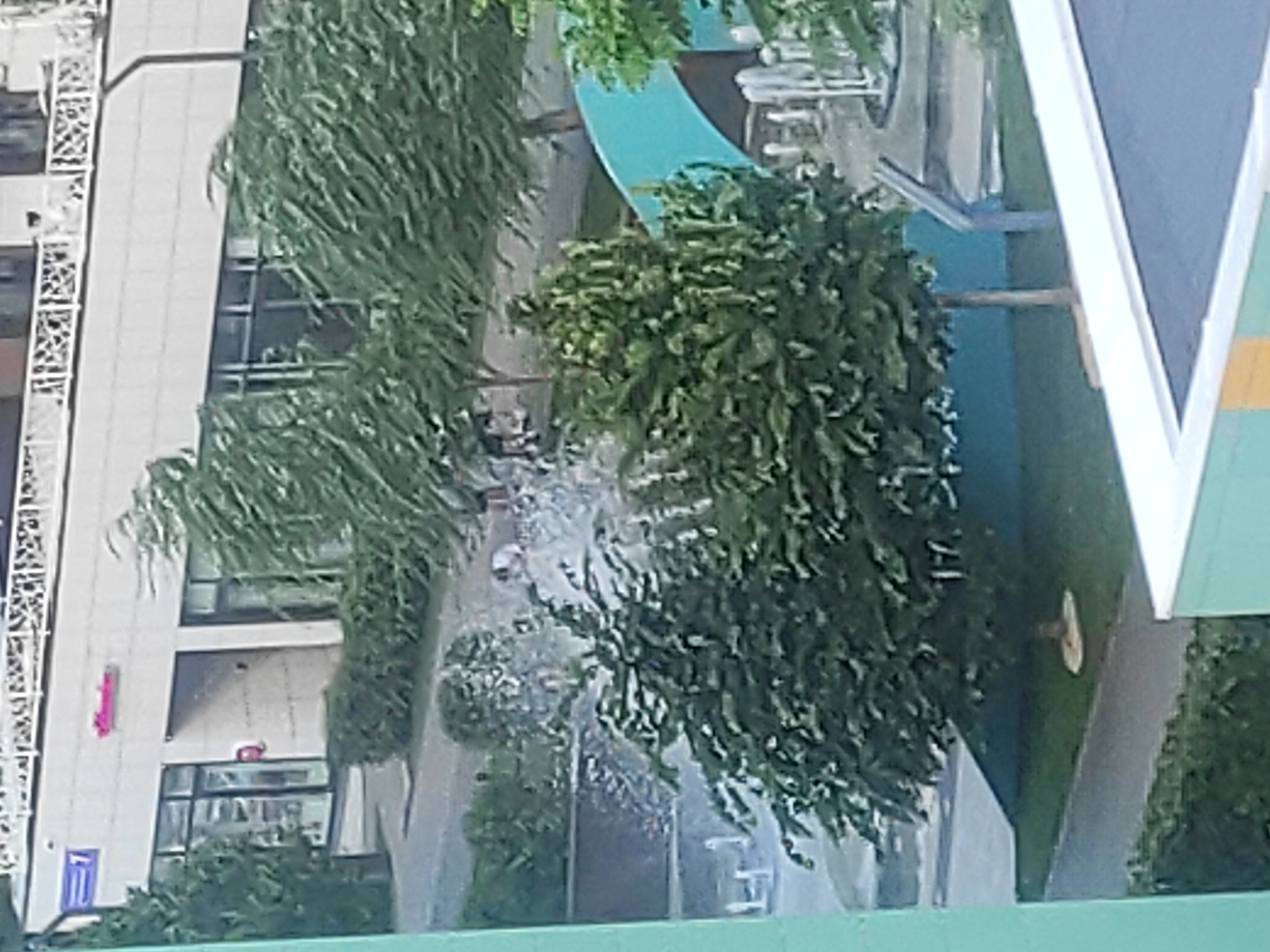The image depicts a contemporary urban scene, likely in Kazan, Russia, featuring a modern building with a white facade and multiple windows. A sign with red lettering is visible above an entrance. Adjacent to the building, a green space is present with several trees whose leaves are being blown by the wind, suggesting windy conditions. In the foreground, a section of a turquoise-colored structure, possibly a play area or a decorative element, is visible. There are also elements of a water feature, with sprays of water in motion and visible water jets. The overall impression is of an outdoor public space with elements of architecture and landscaping.