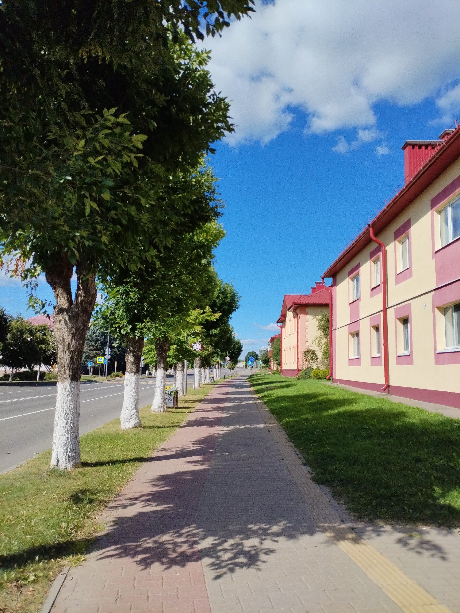 The image depicts a street scene in Bialynichy, Belarus. On the right side of the image, a row of light yellow buildings with red roofs and trim runs parallel to a paved sidewalk. The buildings have multiple windows and visible downspouts. A strip of green grass borders the buildings. On the left side of the image, a paved road with white lane markings is visible. A sidewalk, made of red brick pavers, runs alongside the road, separated by a strip of grass. Several trees with white-painted trunks are planted along the sidewalk, casting shadows on the pavement. The sky is a clear blue with scattered white clouds. Traffic signs are visible along the road. The overall scene suggests a well-maintained urban or suburban environment on a clear day.
