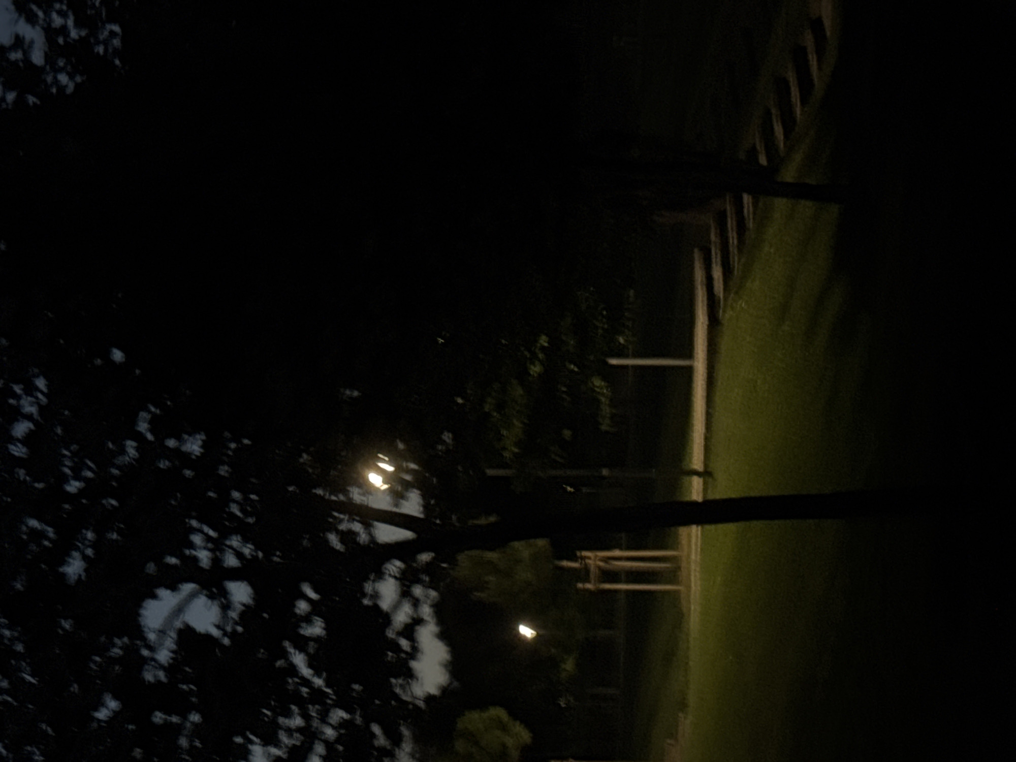 This image depicts a dark, outdoor scene, possibly a park, at night. The sky is visible and appears overcast or twilight. A large tree with dark foliage dominates the left side of the frame. To the right of this tree, a lamppost with a visible light source illuminates a portion of the grassy ground and a path or paved area. In the background, there are more trees and another lamppost further in the distance, also lit. The ground is covered in grass, which is illuminated by the artificial lights, creating shadows and highlighting the texture of the terrain. There are some wooden posts in the middle ground, possibly part of a fence or support structure for a young tree. To the far right, a set of stairs is visible, leading up a gentle slope, also partially illuminated by the lamppost. The overall impression is one of a quiet, possibly urban, park at night, with artificial lighting providing the only illumination. The specific location in Sofia, Bulgaria, cannot be determined from the visual information present in the image.