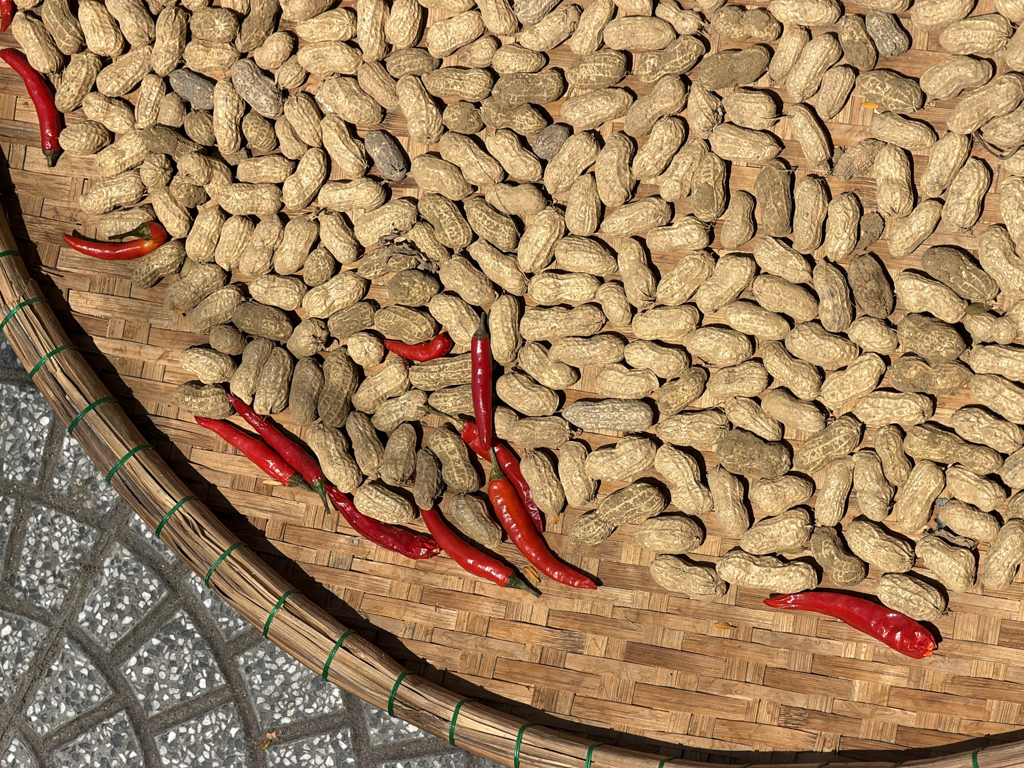 A high-angle, sunlit image depicts a woven bamboo basket filled with peanuts in their shells, interspersed with bright red chili peppers. The basket's rim, bound with green twine, is visible on the left side of the frame. The basket rests on a patterned, gray-toned surface, likely a tiled or paved area. The peanuts vary in color and some are visibly soiled with dirt. The chili peppers appear fresh and have a glossy sheen. The scene is illuminated by natural sunlight, creating shadows that highlight the textures of the peanuts and the basket weave. The setting suggests a rural or semi-rural environment, potentially in Vietnam, given the materials and crops depicted. Based on the crops and materials, it is possible this image was taken in Da Nang, Vietnam, as it is an agricultural region with access to bamboo and chili peppers.