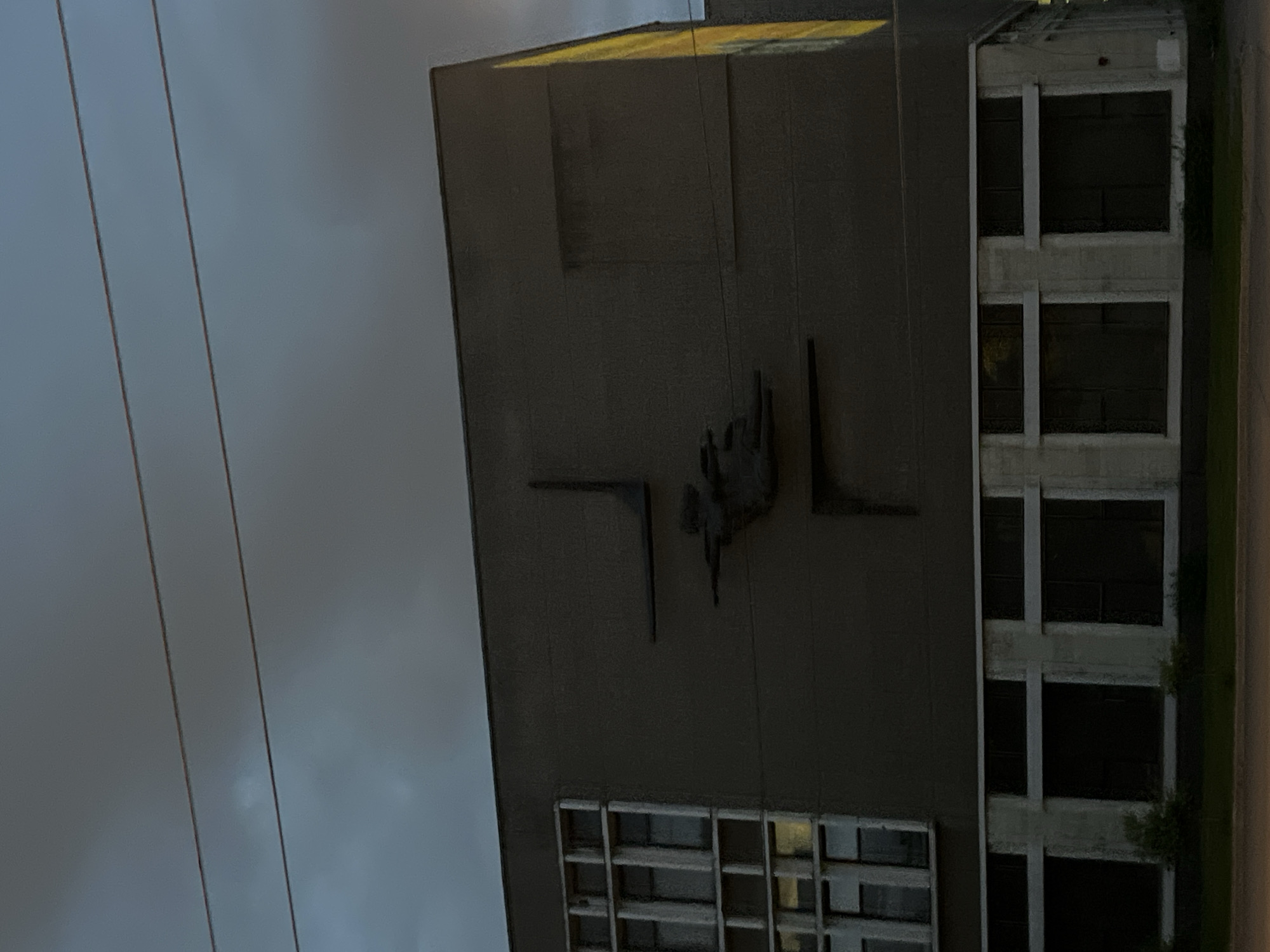This forensic image captures the exterior of the Military Academy of Communications named after Marshal of the Soviet Union S.M. Budyonny, located at Tikhoretsky Prospekt 3, in Saint Petersburg, Russia, at dusk. The multi-story building features a dark grey facade, likely concrete. On the left, a large grid of multi-paned windows is visible, with some interior light reflections. Centered on the upper facade is a dark, sculptural relief depicting a stylized, abstract human figure with outstretched arms, integrated with angular geometric elements, characteristic of Soviet-era monumental art. To the right of the relief, a subtle rectangular indentation is present on the facade. The far-right edge of the building shows a strong vertical yellow illumination, likely from an external light source or reflection. The lower section of the building has a series of large, dark rectangular window or panel openings framed by lighter, vertical concrete sections. Sparse, dark shrubbery grows at the building's base. Overhead, two parallel utility lines cross a uniformly grey, overcast sky. The foreground reveals a narrow strip of dark ground, possibly a sidewalk or verge, adjacent to a faint suggestion of a road. No individuals or active interactions are visible in the scene.