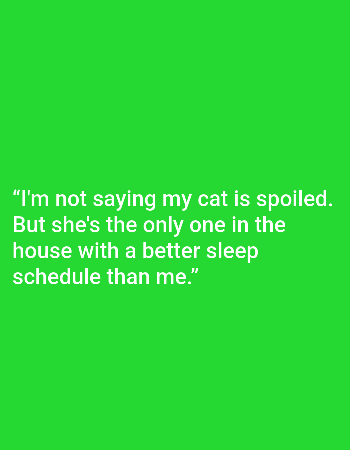 The image is a photograph of a green background with white text. The text reads: "I'm not saying my cat is spoiled. But she's the only one in the house with a better sleep schedule than me." There are no people, subjects, objects, or actions depicted in the image. The location of Kępno, Poland is not relevant to the image content.