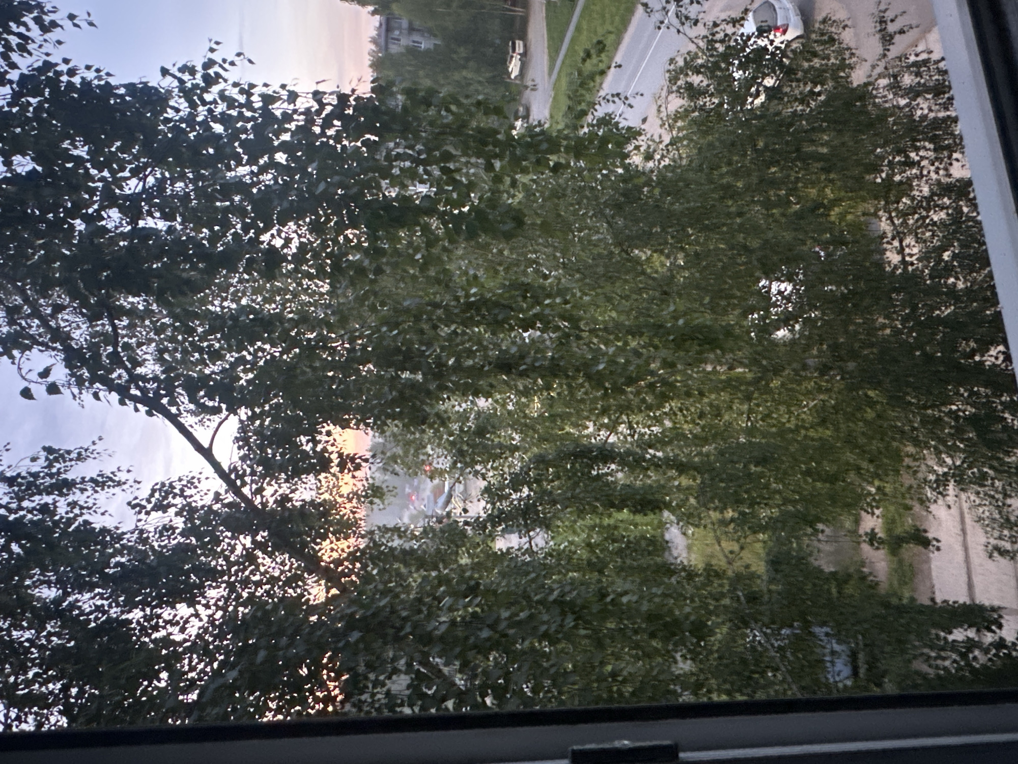 The image shows a view from a window, looking out at trees with dense foliage in the foreground. Beyond the trees, a street can be seen with a few parked cars, including a white hatchback. There are buildings in the background. The sky suggests it is either sunrise or sunset, with soft lighting and some pink hues visible. The scene is set in Plesetsk, Russia.