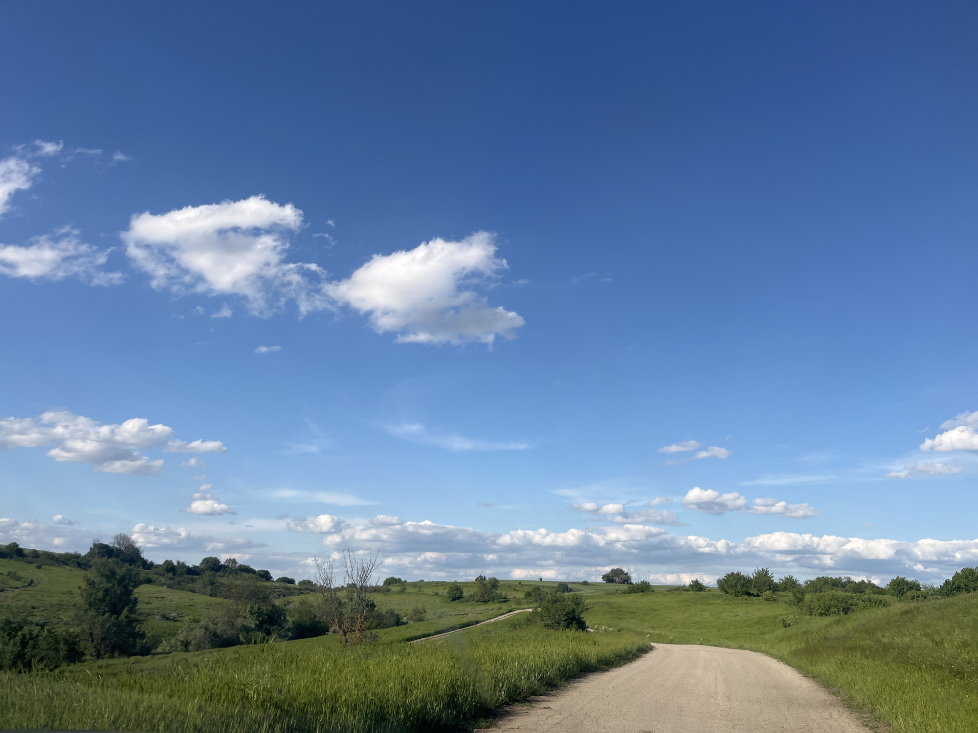 The image depicts a rural landscape under a bright blue sky dotted with scattered cumulus clouds. A dirt road stretches into the distance, winding through rolling green hills. The hills are covered in lush green vegetation, with occasional trees and shrubs. The scene appears to be devoid of human activity. The location is unknown.