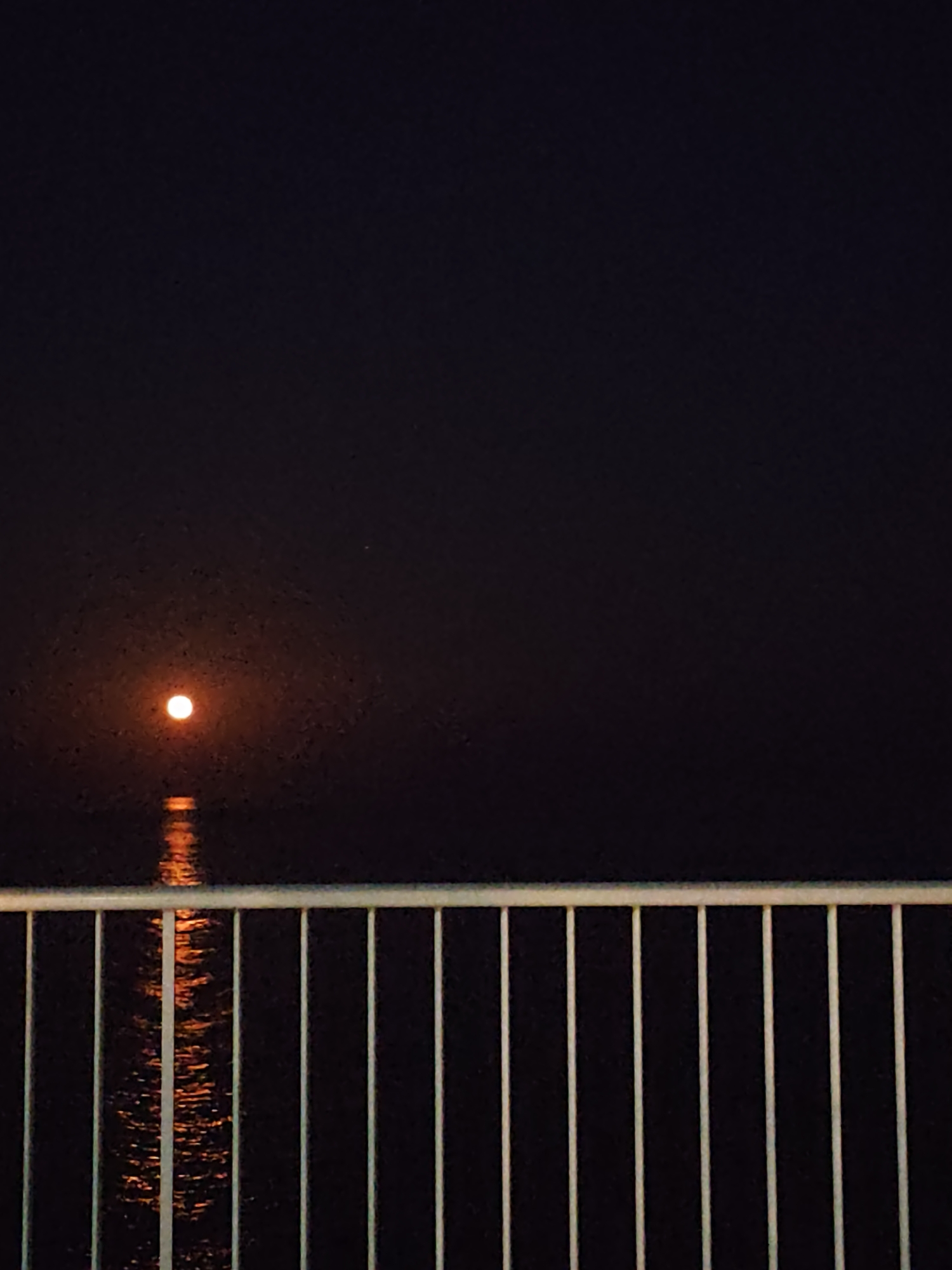 A full moon, appearing as a bright orange orb, is reflected on the calm, dark water. In the foreground, a white railing with vertical bars stretches across the bottom of the frame. The scene is set at night in the vicinity of Cales De Mallorca, Spain, likely near a waterfront or promenade.