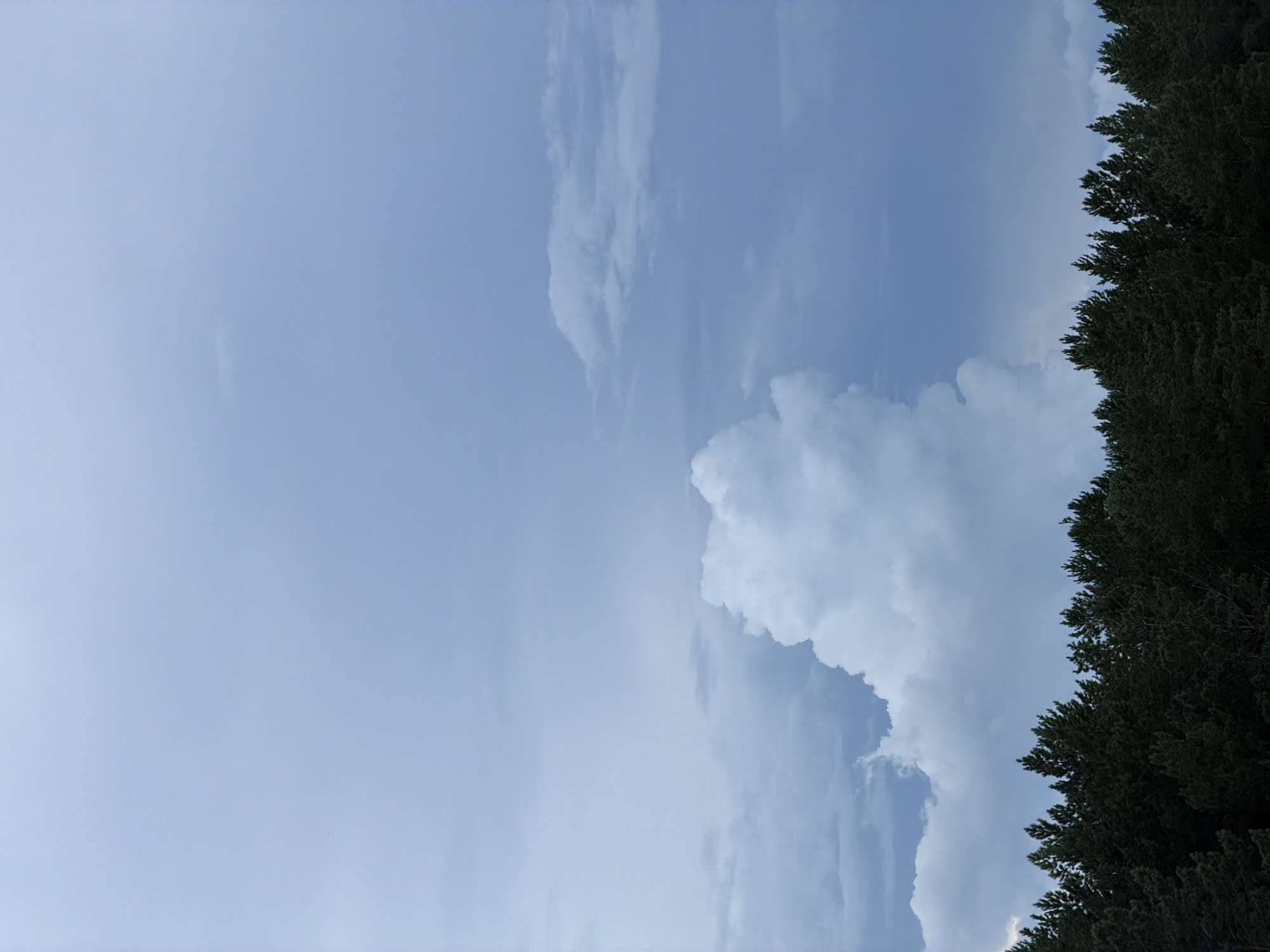 A wide shot of a forest canopy under a cloudy sky. The trees, primarily dark green conifers, form a dense, undulating line across the bottom of the frame. Above the treeline, the sky is a muted blue with various cloud formations. A large, bright white cumulus cloud is prominent in the center of the frame, with smaller, wispy clouds scattered around it and a darker, more ominous cloud bank in the upper right. The overall lighting suggests either overcast conditions or the approach of evening. The image is taken from a low vantage point, looking up at the sky. The location is stated to be Tsiolkovsky, Russia. There are no people or discernible objects other than the natural landscape.