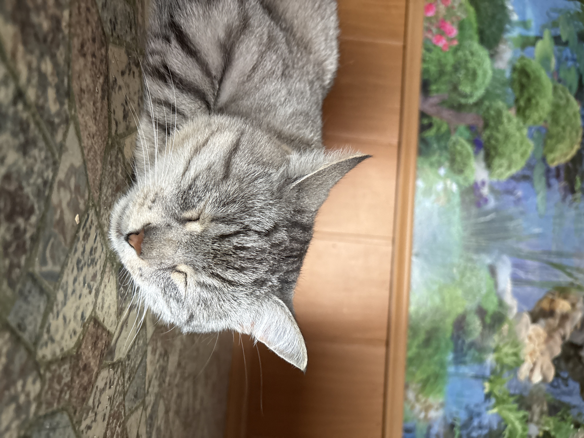 A close-up, eye-level shot shows a silver tabby cat sleeping on a floor with a patterned tile design. The cat's eyes are closed, and its head is turned slightly to the right. Its fur is gray with darker tabby stripes. In the background, a wooden paneled wall is visible, and above that, a mural or picture depicts a scene with trees, rocks, and water, possibly a waterfall. The overall impression is one of peaceful repose within a domestic setting. This image does not provide any information about the city of Ветлужский, Russia.