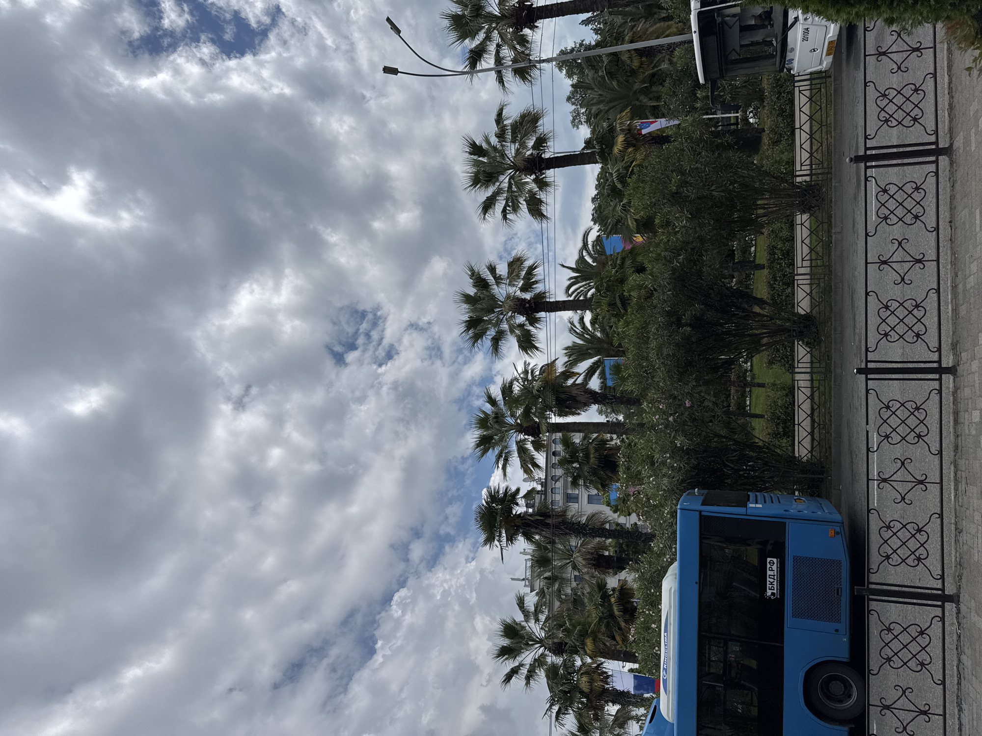 The image depicts a street scene in Sochi, Russia, characterized by palm trees lining a road. In the foreground, a blue bus is parked, with visible markings on its side. To the right, part of a white bus is visible. A decorative metal fence separates the sidewalk from the road. In the background, a building with multiple floors is situated behind the palm trees, under a sky filled with clouds. The overall atmosphere suggests a warm climate.