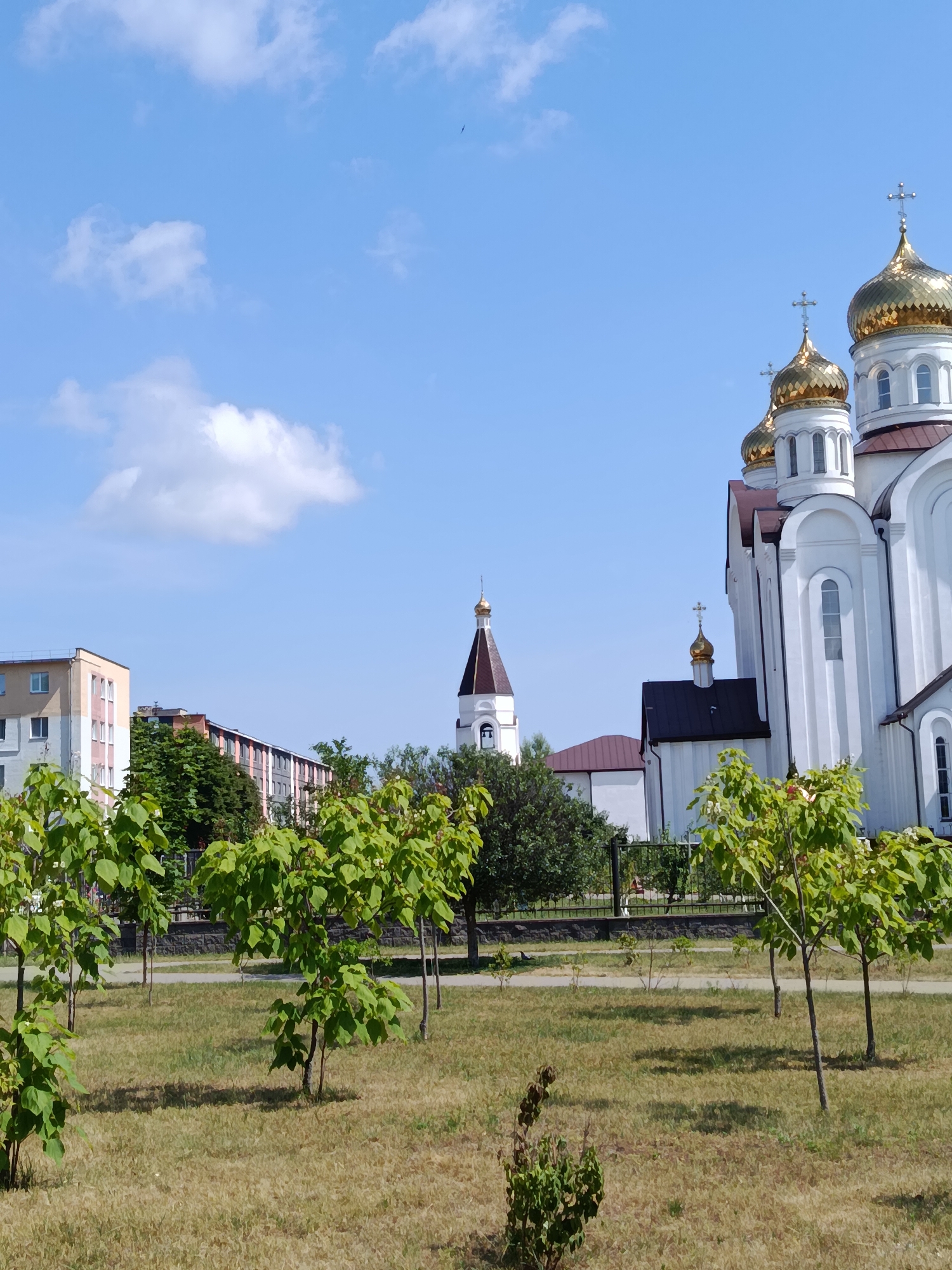 The image depicts a sunny day in Svietlahorsk, Belarus, with a clear blue sky dotted with white clouds. In the foreground, several young trees with lush green leaves are planted in a grassy area. Behind the trees, a paved path runs horizontally across the frame, with a low fence bordering it. In the background, a large white Orthodox church with golden domes and crosses stands prominently. To the left of the church, several apartment buildings are visible, characteristic of urban Soviet architecture, with light-colored facades and multi-paned windows. The overall scene conveys a sense of peaceful, sunny weather in a Belarusian city, showcasing a blend of religious architecture and residential buildings.