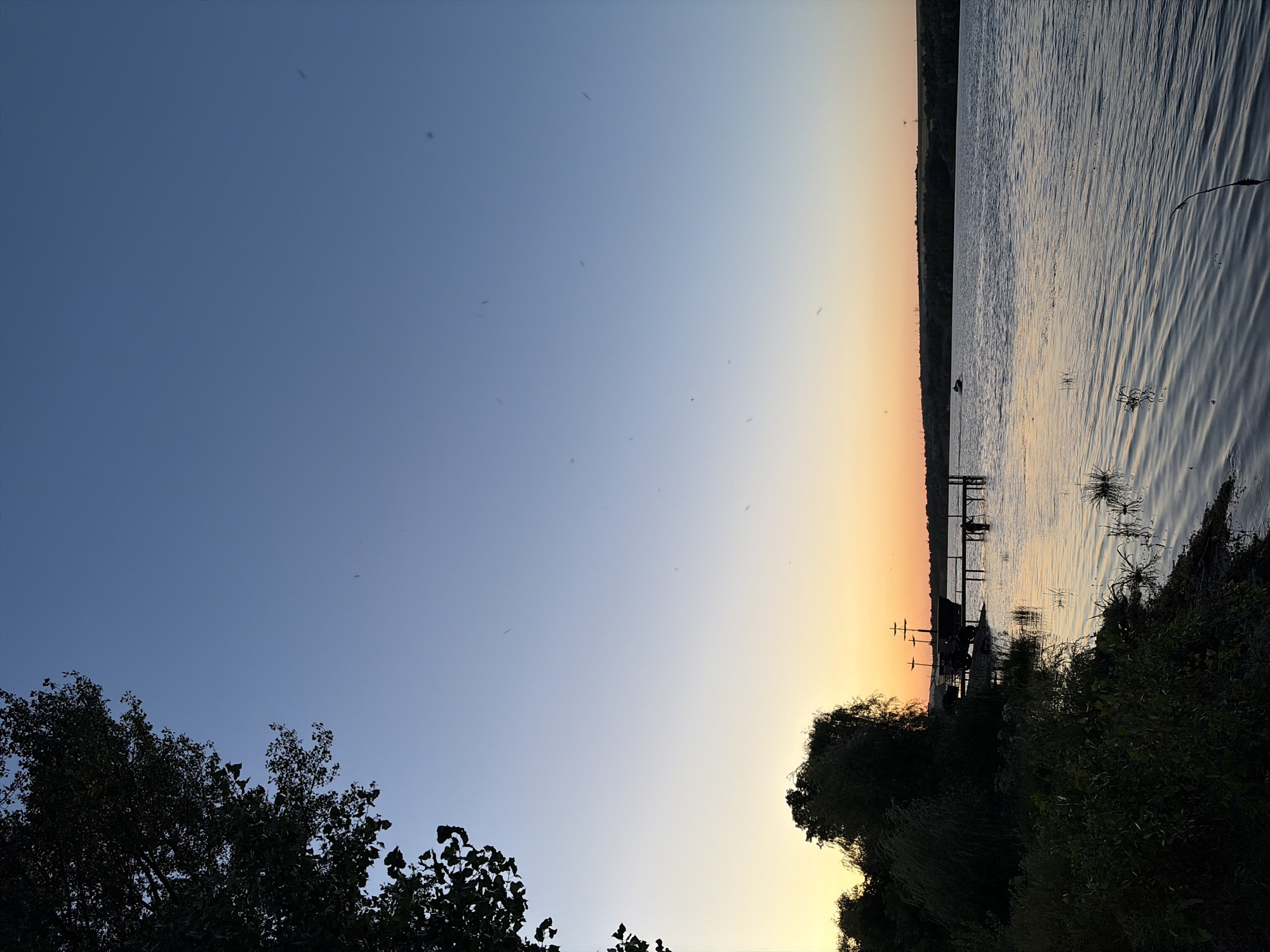 The image depicts a serene waterfront scene at dusk in Oxentea, Moldova. A wide river, reflecting the gradient of the sky from deep blue overhead to soft orange and yellow near the horizon, dominates the foreground and middle ground. Gentle ripples disturb the water's surface, suggesting a light breeze.

On the left bank, silhouetted against the colorful sky, is a dense area of dark green foliage, including trees and shrubs. A large tree branch, also in silhouette, extends into the upper left quadrant of the frame.

Further along the left bank, a wooden pier extends into the water. On or near the pier, several objects are visible in silhouette, including what appears to be a decorative boat with masts, and a smaller boat or vehicle. A lone figure is standing on the pier, facing the water.

In the distance, the right bank of the river is lined with a dark silhouette of trees and possibly some man-made structures or terrain features. A small boat with two occupants can be seen on the water in the mid-distance. The sky transitions from a clear, deep blue at the top to a warm, pastel blend of orange and yellow near the horizon, indicating the sun has recently set. A few small, dark specks are visible in the sky, potentially insects or dust.