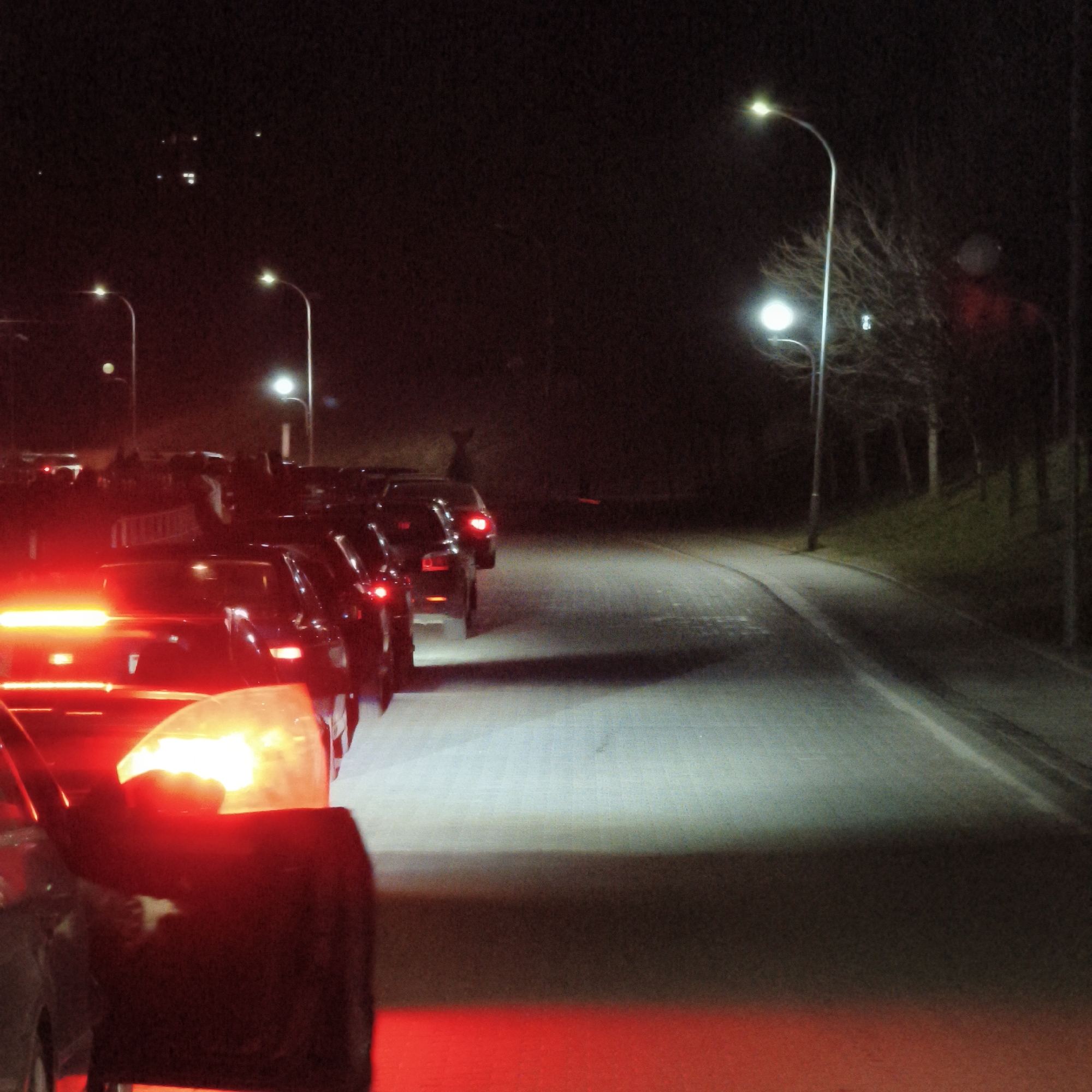 The image captures a nighttime scene on a paved road in Hrodna, Belarus. A queue of multiple dark-colored vehicles occupies the left side of the frame, extending into the distance. The primary illumination consists of the bright red taillights from the stationary or slow-moving vehicles, with the closest vehicle also exhibiting a prominent glowing orange-yellow light on its left rear. The road surface, appearing damp, reflects light from the vehicles and several streetlights. Multiple streetlights with curved poles emit white-yellow light, illuminating sections of the road and a grassy embankment with bare deciduous trees lining the right side. In the middle-left background, behind the vehicular queue, indistinct human figures are visible near light-colored, temporary barriers or fencing. Faint, distant lights are present in the upper-left quadrant, indicating further structures or lights in the urban environment. The overall scene is characterized by low light conditions typical of night.