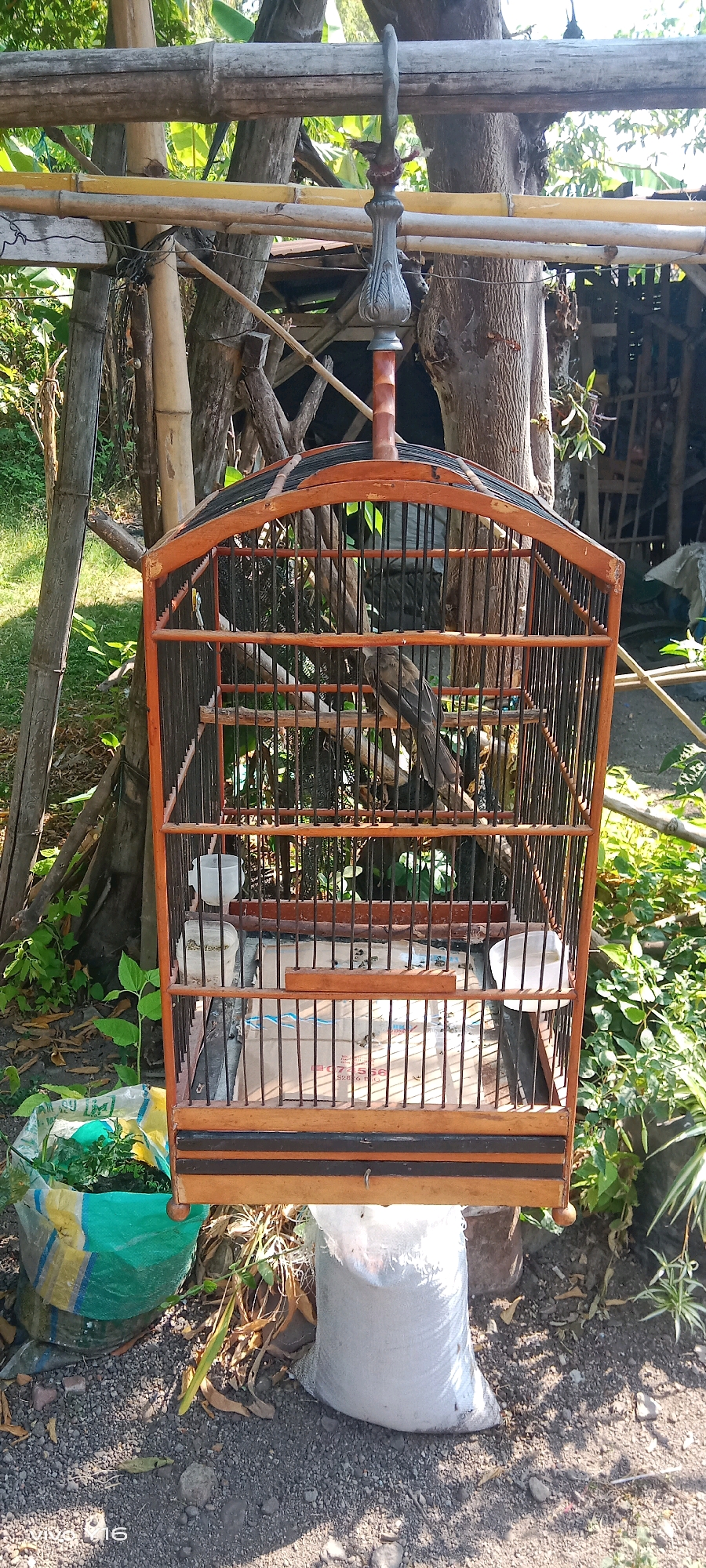 An outdoor scene shows a wooden birdcage hanging from a bamboo structure in Semambung, Indonesia. The birdcage, primarily made of orange-stained wood and black metal bars, contains a bird. The background features trees, foliage, and a partially visible structure, possibly a shed. The ground is covered in gravel and dried leaves. In the foreground, two bags are visible: one is a green and yellow woven bag filled with plants, and the other is a white sack. The lighting suggests it is daytime, with shadows cast by the surrounding objects.