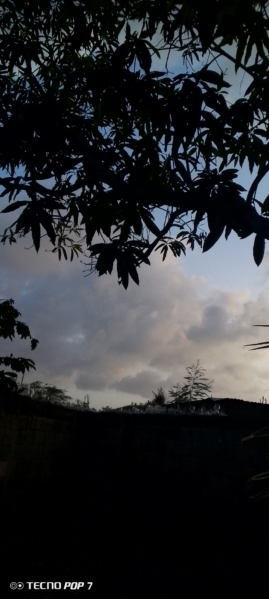 The image shows a silhouette of trees against a cloudy sky. The trees are dark and featureless, their branches spreading out across the top of the frame. The sky is a mix of blues and grays, with some patches of lighter clouds suggesting the presence of sunlight. The bottom of the image is dominated by a dark, shadowed area that appears to be a wall or fence. In the distance, the faint outline of buildings and vegetation can be seen. The bottom left corner of the image displays the text "TECNO POP 7", indicating the phone used to take the photograph. The overall impression is one of a somewhat overcast day, with the silhouettes of the trees creating a dramatic contrast against the sky. The location, Altagracia, Venezuela, is not visually discernible from the image itself.