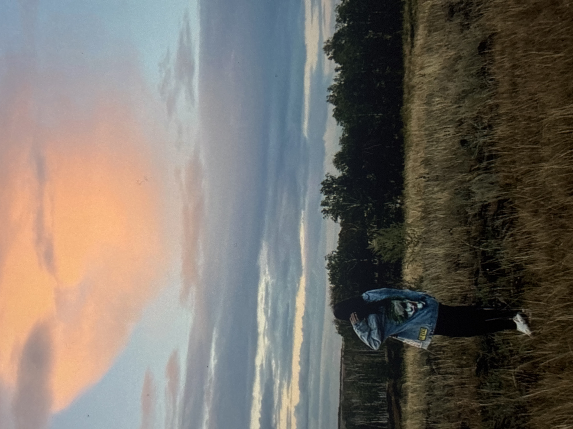 The image depicts a person standing in a dry, grassy field. The person is wearing a denim jacket with a graphic print on the back and black pants. They are facing away from the camera and appear to be shielding their face with their hand. Behind the field is a dense line of trees, and beyond that, a hazy landscape. The sky is a mix of blue and pastel orange hues, suggesting either sunrise or sunset. The presence of distant birch trees is consistent with the landscapes found in and around Omsk, Russia, which is situated in the West Siberian Plain, an area characterized by extensive grasslands, forests, and river valleys. The overall atmosphere is one of solitude and natural beauty, potentially a rural outskirts area within the vicinity of Omsk.