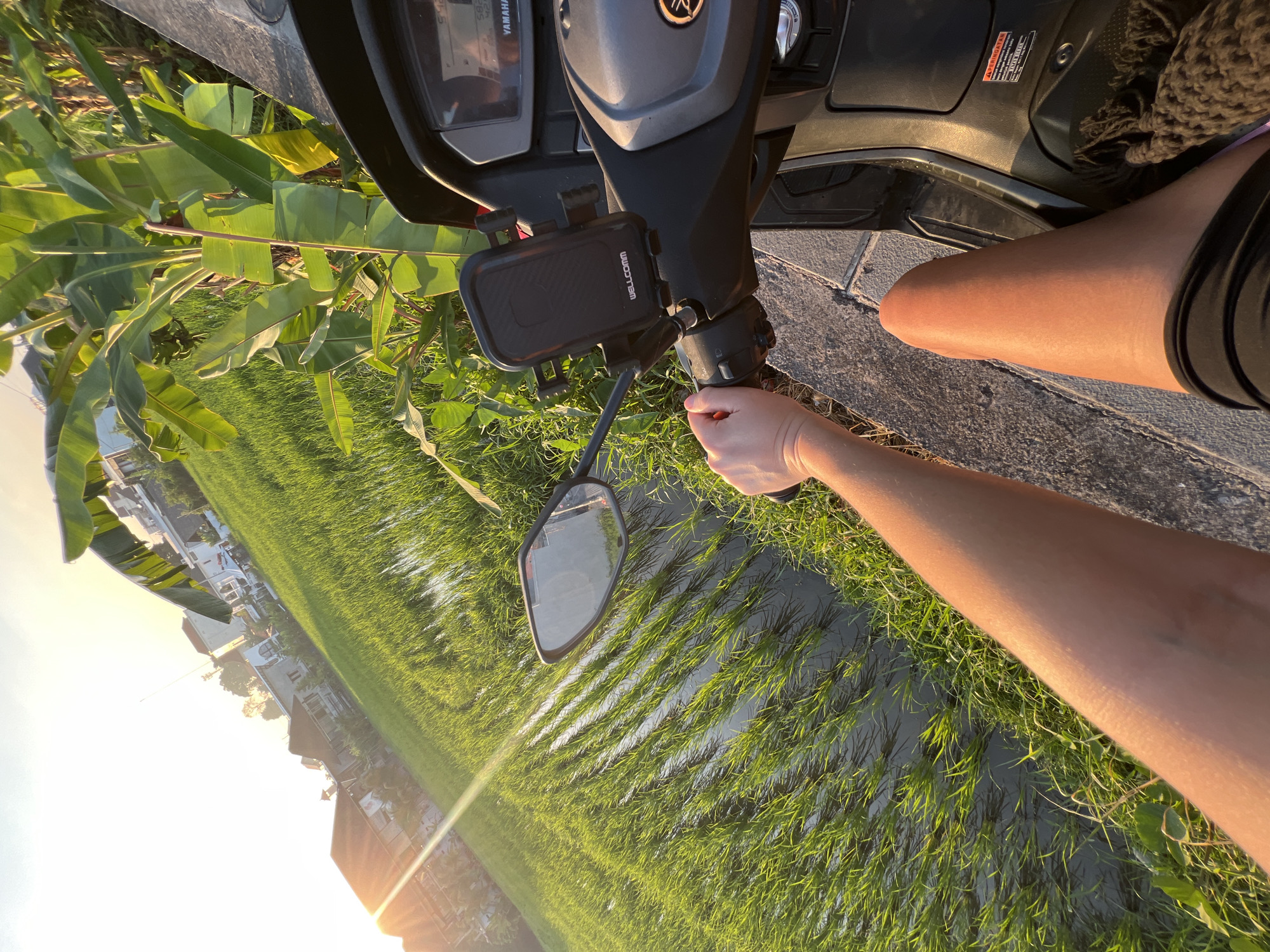 The image depicts a first-person perspective from a motorcycle parked on the edge of a rice paddy field during sunset in North Kuta, Indonesia. The setting sun casts a warm glow over the scene, illuminating the lush green rice stalks and reflecting in the water-filled paddies. Banana plants with large, broad leaves are visible on the right side of the frame, towering over the motorcycle.
In the foreground, the arm and hand of a person are visible, gripping the handlebars of the motorcycle. A black phone mount, branded "WELLCOMM," is attached to the handlebars. The leg of the person, wearing black shorts, is also visible, resting on the motorcycle. The motorcycle's dashboard, with a Yamaha logo, is partially visible.
In the background, traditional Indonesian houses with red-tiled roofs are scattered amidst the greenery. The sky is clear with the sun prominently featured on the left side, creating a lens flare effect. The overall ambiance is serene, showcasing a typical rural landscape in Bali, Indonesia, at dusk.