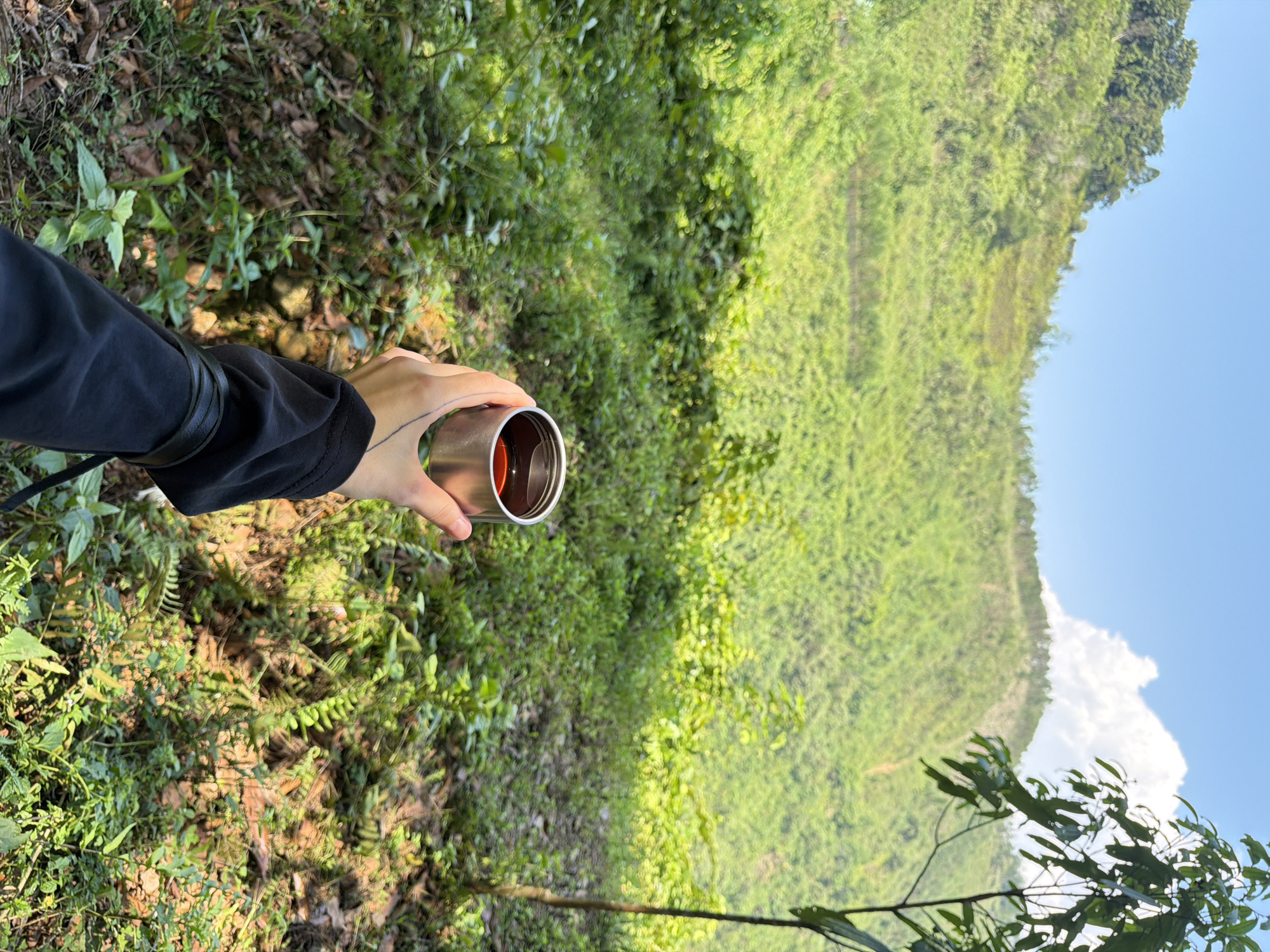 A person's hand holds a stainless steel cup filled with a dark liquid, presumably coffee or tea. The scene is set outdoors in a lush, green environment, likely a forest or mountainous area, possibly located near Đà Nẵng, Vietnam. A mountain covered in dense vegetation rises in the background, with a blue sky and white clouds visible above. The foreground is filled with various green plants and foliage. The person is wearing a dark-colored, long-sleeved shirt or jacket. A black strap is also visible.