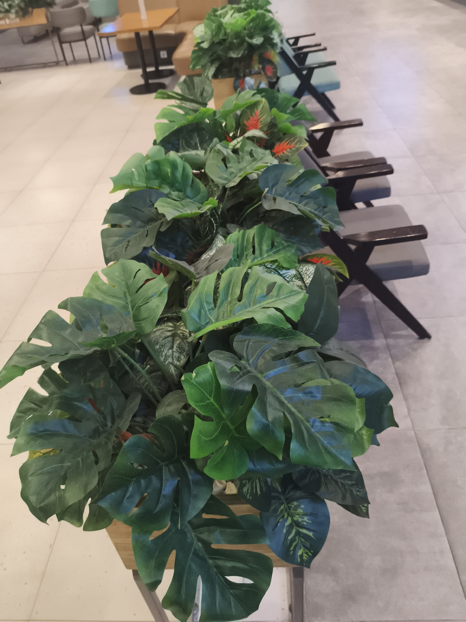 In Depok, Indonesia, a row of dark-framed chairs with grey seats are situated in a waiting area. They are partially obscured by a long planter filled with lush green artificial plants, including large-leafed Monstera varieties and smaller plants with red and green patterned leaves. The flooring is tiled with a light beige and grey pattern. In the blurred background, other seating areas with wooden tables and chairs are visible, suggesting a cafe or public waiting space.