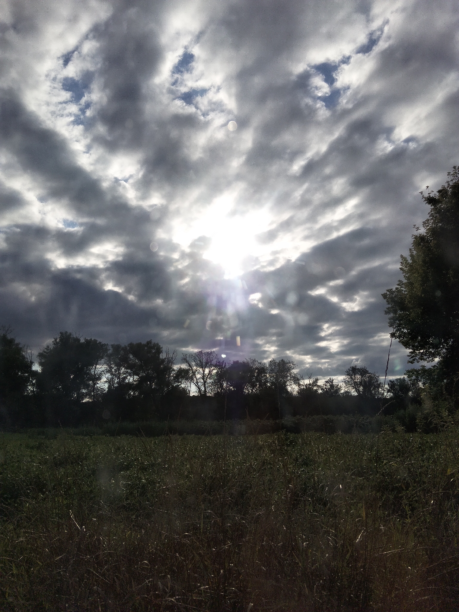 This is a landscape photograph taken in Ustyvytsia, Ukraine, depicting a field in the foreground with a line of trees forming the horizon and a dramatic, cloudy sky above. The sun is partially obscured by dark, heavy clouds, creating areas of intense brightness and deep shadow. The field is overgrown with tall grass and vegetation, appearing dark and somewhat unkempt. The trees are silhouetted against the sky, with some showing visible branches and foliage. The overall atmosphere is one of overcast weather with pockets of sunlight breaking through. There are no people or specific objects of note visible in the scene. The photograph has a slightly grainy quality and shows some lens flare or atmospheric dust.