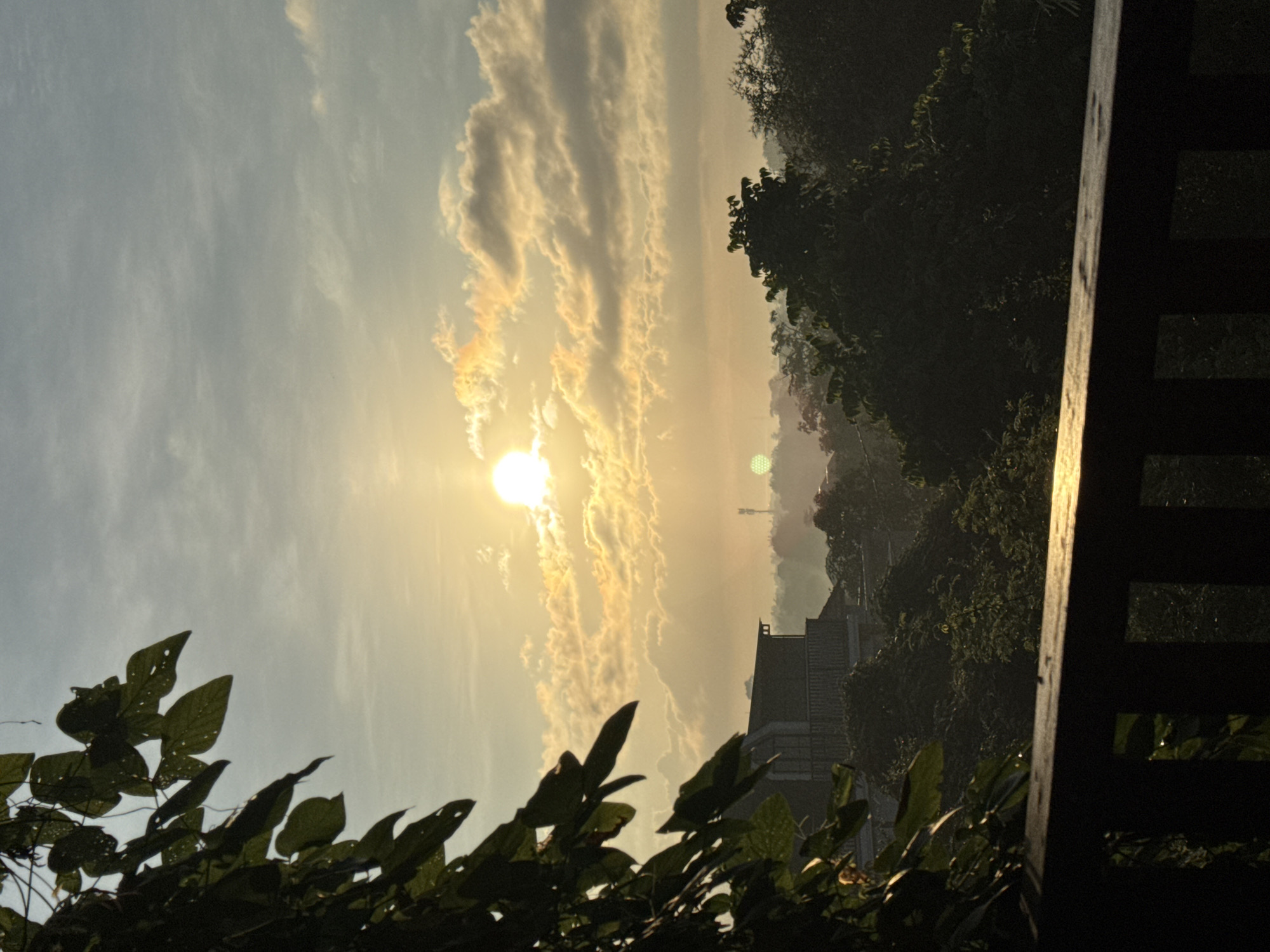 The image depicts a serene sunrise or sunset over a lush, tropical landscape in Kuta Selatan, Indonesia. The sun, a brilliant white sphere, is prominently positioned in the upper left portion of the sky, radiating a warm, golden light across the scene. Above and around the sun, elongated, horizontal clouds are illuminated in vibrant hues of orange and gold, contrasting with the soft, pale blue of the upper sky.
In the mid-ground, dense tree canopies form dark silhouettes against the glowing horizon, suggesting a rich, green environment. A gentle atmospheric haze blankets the distant landscape, softening the outlines of what appear to be distant hills or buildings, with one distinct structure's roofline visible towards the lower middle, also in silhouette.
The immediate foreground features dark green foliage, with several large leaves visible, some showing small perforations. On the far right, a sturdy dark wooden fence or railing runs vertically, partially framing the view. The overall impression is one of peaceful tranquility, capturing the natural beauty of a tropical morning or evening. No people or visible text are present in the image.