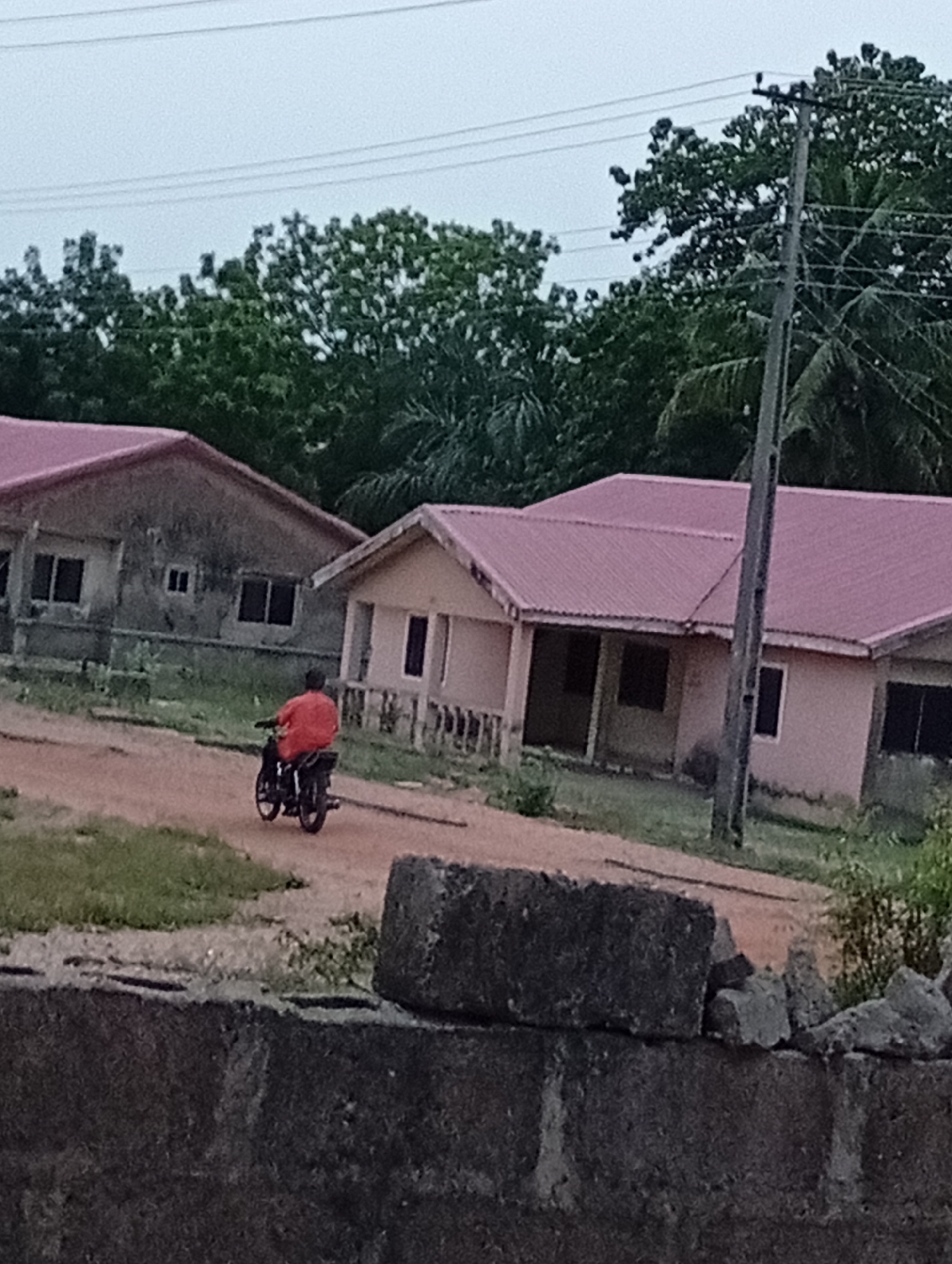 This image depicts a semi-rural or residential scene under an overcast sky. In the midground, a person wearing an orange shirt is riding a black motorcycle away from the viewer, moving from left to right on a reddish-brown dirt path.
Two houses are visible. The house on the left has weathered grey walls, dark windows, and a pink corrugated iron roof. The house on the right, appearing newer, features light pink or beige walls, dark window and door openings, and a matching pink corrugated iron roof. Lush green trees and foliage form a dense background behind the houses, extending towards the cloudy, light grey sky. A tall, dark utility pole with several power lines stands vertically in the center-right of the image, partially in front of the right house.
The immediate foreground is occupied by a dark, rough-textured stone or concrete wall, partially obscuring the base of the scene. Patches of green grass and weeds are visible along the dirt paths and around the houses. The diffused light suggests either an overcast day or perhaps early morning or late afternoon. No visible text is present in the image.