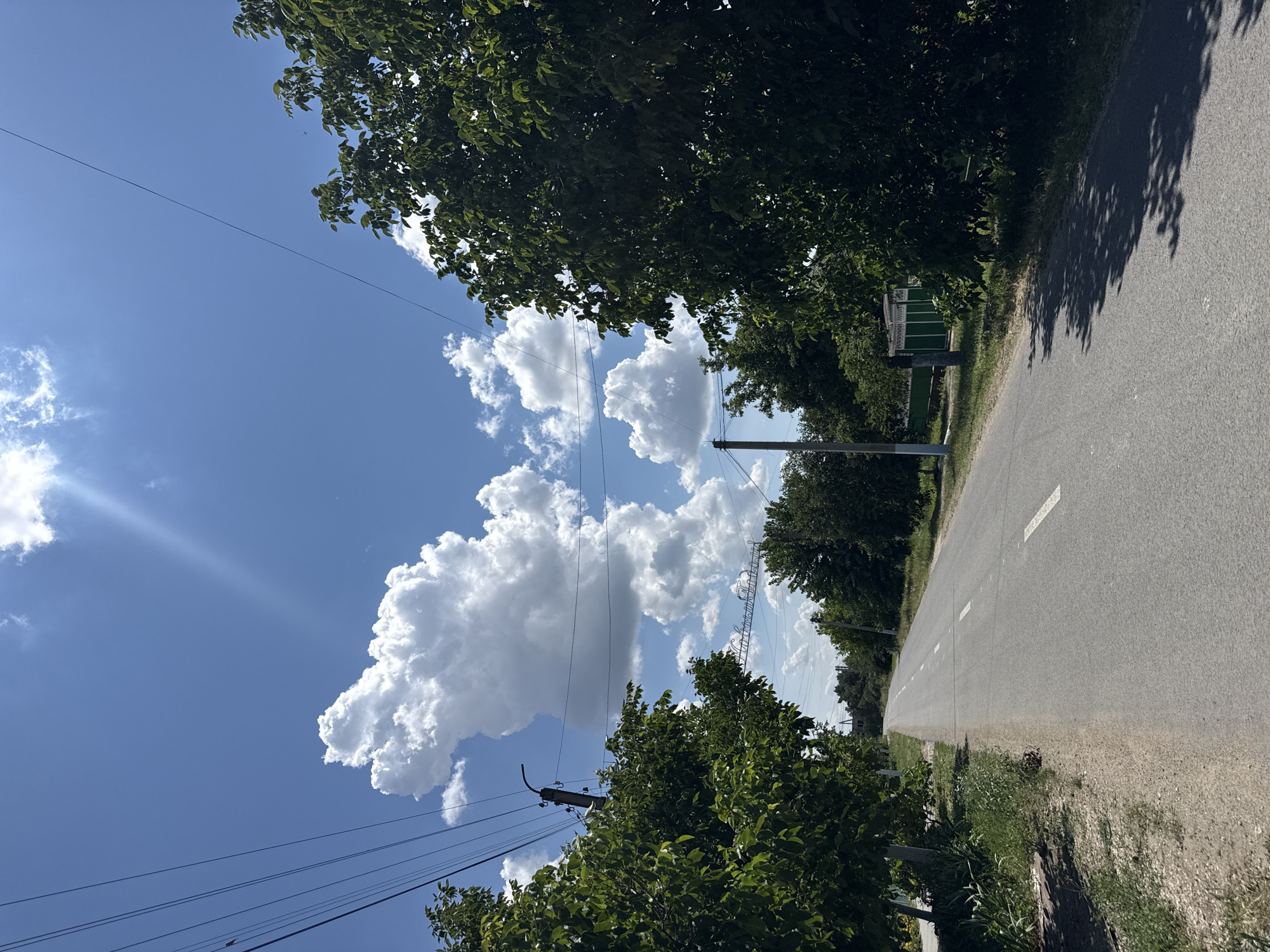 The image depicts a rural road in Basarabeasca, Moldova, on a sunny day. The asphalt road, marked with white lines, stretches into the distance, flanked by lush green trees on both sides. Overhead, a clear blue sky is punctuated by large, fluffy white clouds. Power lines crisscross the sky, supported by utility poles. In the distance, there are glimpses of buildings and more trees, suggesting a small town or village setting. The overall impression is one of a serene, natural landscape on a bright summer day.