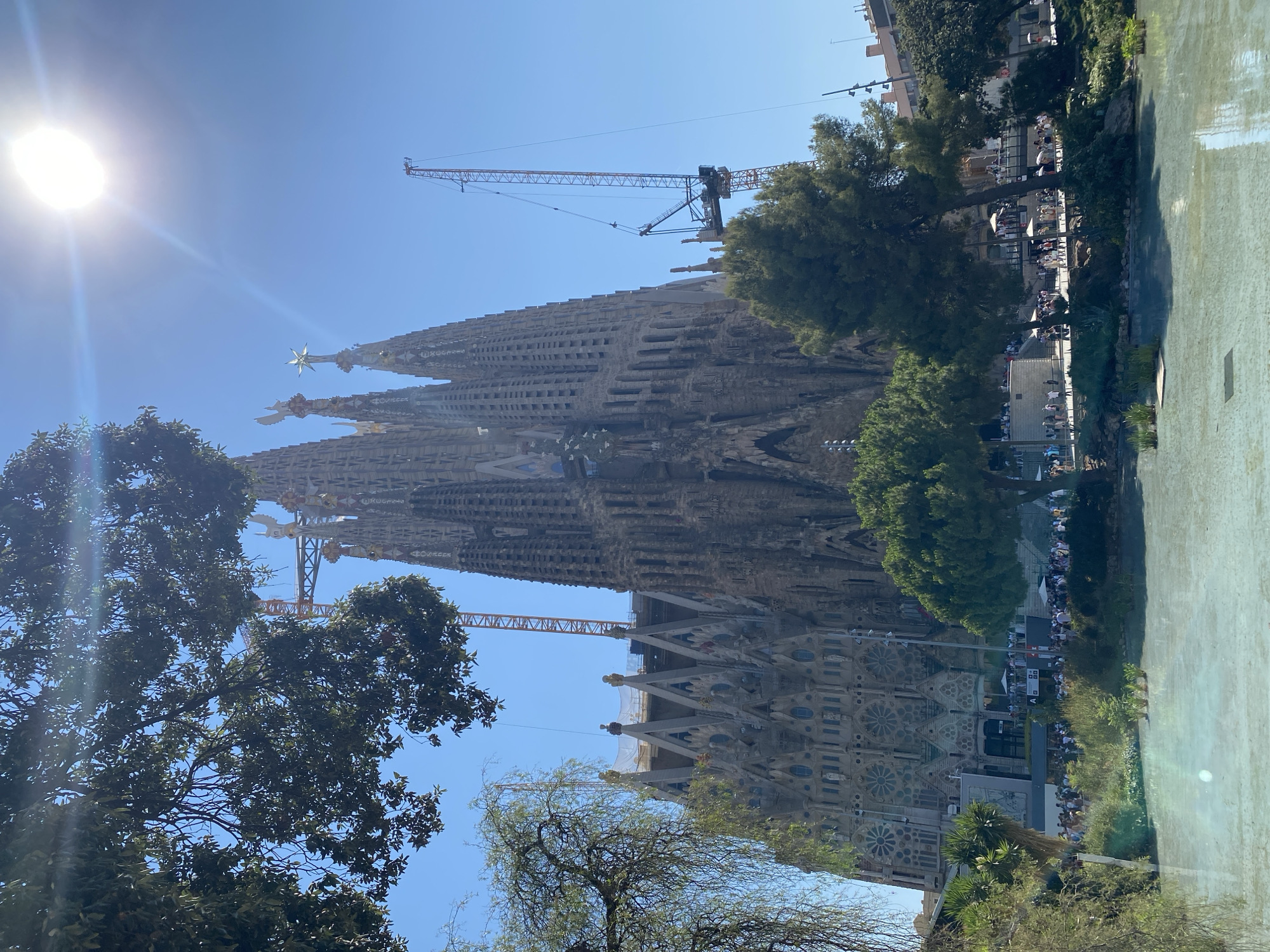 This is a full-shot, eye-level, outdoor photograph of the Sagrada Familia basilica in Barcelona, Spain. The basilica, an unfinished Roman Catholic church designed by Antoni Gaudí, is the central subject, its spires dominating the frame against a bright blue sky. Construction cranes are visible behind and to the side of the basilica, indicating ongoing work. In the foreground, a body of water, possibly a pond or fountain, reflects the sunlight, creating a shimmering effect. Lush green trees and foliage frame the scene on the left and in front of the basilica. A crowd of people can be seen walking along a path in front of the structure, suggesting it is a popular tourist attraction. The overall lighting suggests a bright, sunny day.