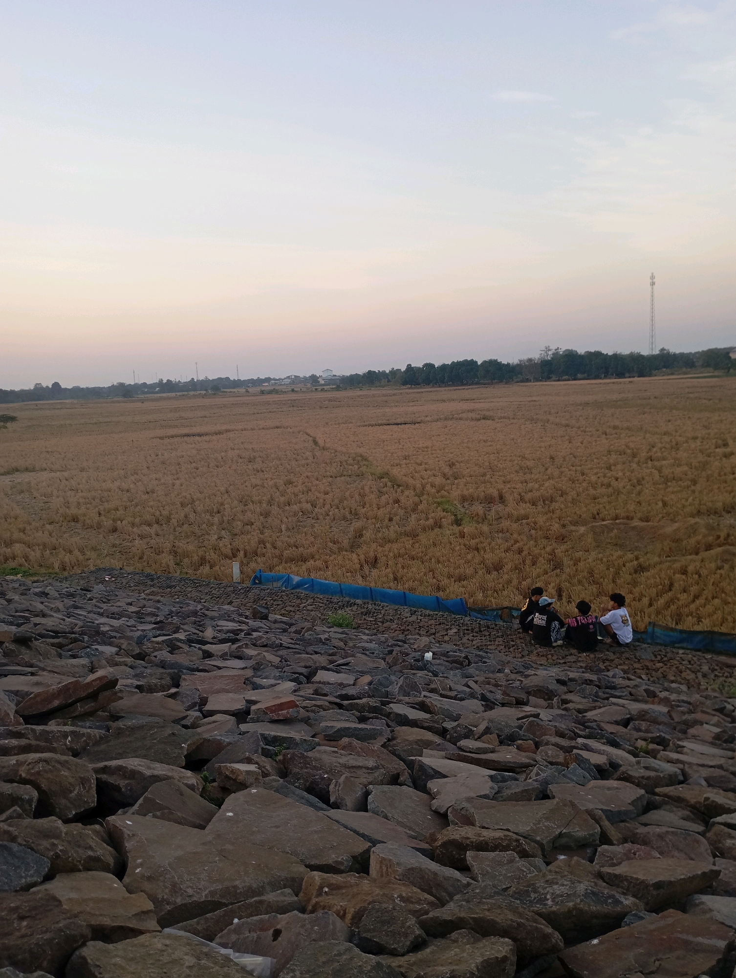 In the city of Haurkolot, Indonesia, at the base of a rocky embankment, four young individuals are seated. The embankment is constructed from large, irregular grey and brown stones, with a blue tarp visible behind the seated figures. Beyond the embankment lies a vast, dry field of harvested crops, its golden-brown stalks stretching towards a distant line of trees and scattered buildings. The sky above is a pale, soft gradient of white and light orange, suggesting either dawn or dusk. Two figures are facing away from the camera, their backs to the viewer. The figure on the far left is wearing a dark jacket with white lettering and a blue cap. Next to him, another individual is also wearing a dark jacket with white lettering. The two individuals on the right are facing more towards the viewer; one wears a black shirt with a graphic design, and the other wears a white t-shirt with a graphic design on the back. A tall communication tower is visible in the distance, towards the right side of the frame, against the horizon. The overall scene depicts a tranquil, rural landscape with a group of friends relaxing outdoors.