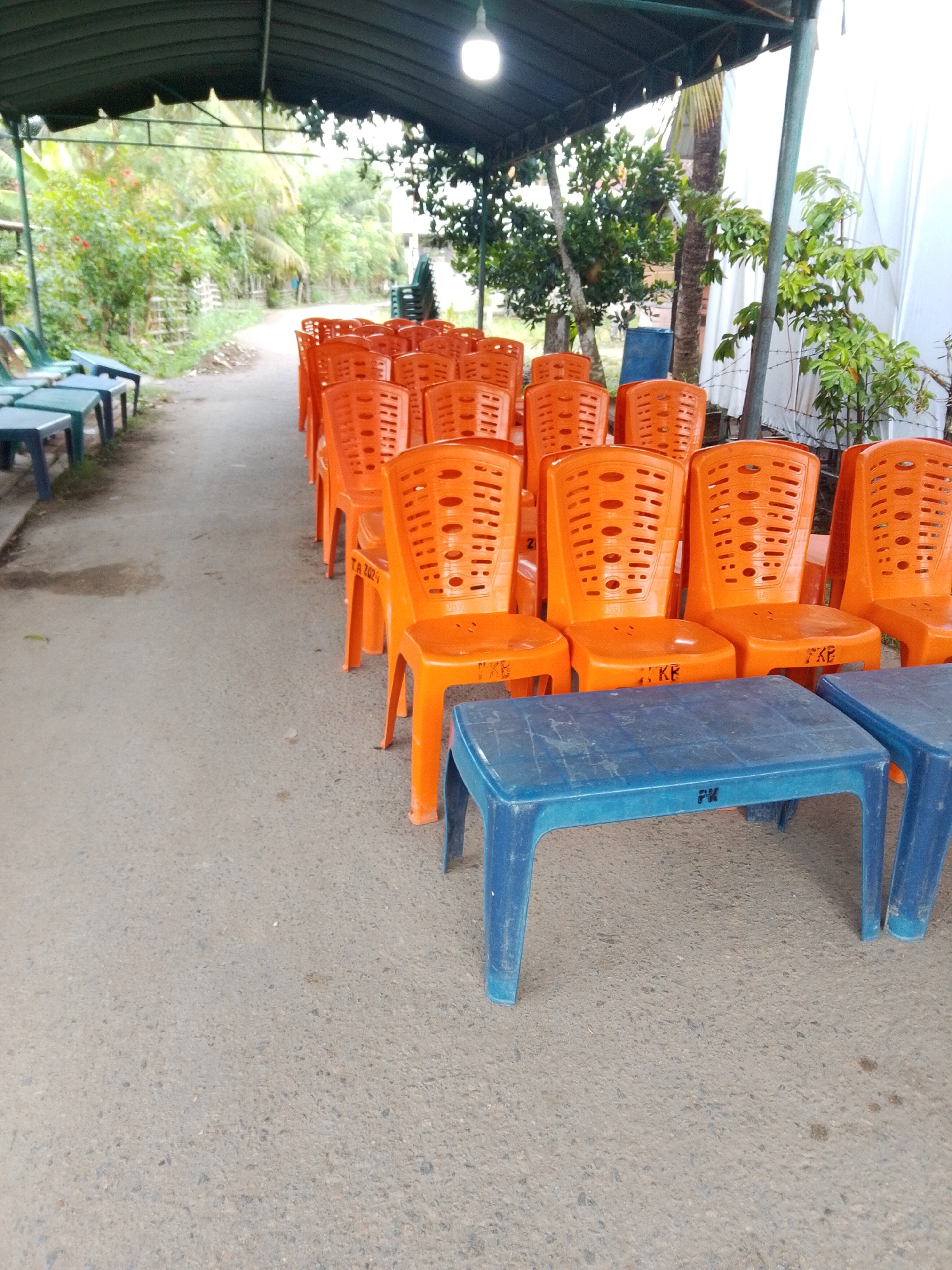 The image depicts an outdoor scene under a green awning, likely an event or gathering space. Rows of bright orange plastic chairs are neatly arranged on an asphalt ground, facing forward. In the foreground, two blue plastic tables are positioned in front of the chairs. To the left of the orange chairs, a row of green plastic chairs is visible, also on the asphalt. Beyond the chairs and tables, the environment appears to be lush with tropical vegetation, including trees and leafy plants. A dirt path or road is visible behind the green chairs. The overall impression is one of a functional outdoor seating area prepared for an event. The image does not contain any people. It is not possible to determine the specific location in the city of Payakumbuh, Indonesia from the visual information provided.