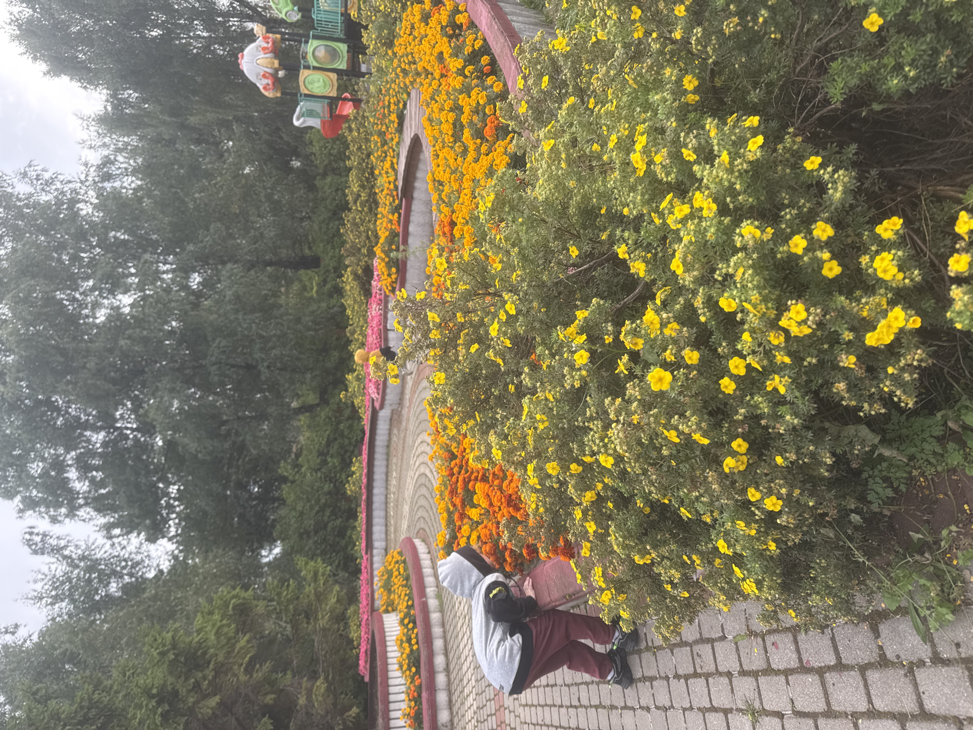 A child wearing a grey hooded sweatshirt and maroon pants is crouched down by a low, curved wall, looking into a bed of bright orange and yellow flowers. The child's back is to the camera, and they are wearing dark shoes. The flower beds are arranged in a circular pattern, with a paved walkway made of grey rectangular stones in the foreground. Behind the child, the flower beds curve away, filled with densely packed orange and yellow blooms. Further in the background, pink flowers are visible in another circular bed. Trees with green foliage form the backdrop of the scene, and the sky is overcast. To the right, a colorful playground structure with slides and green and yellow panels is partially visible. The environment appears to be a park or garden. The location is the Sovkhoza imeni Lenina, Russia.