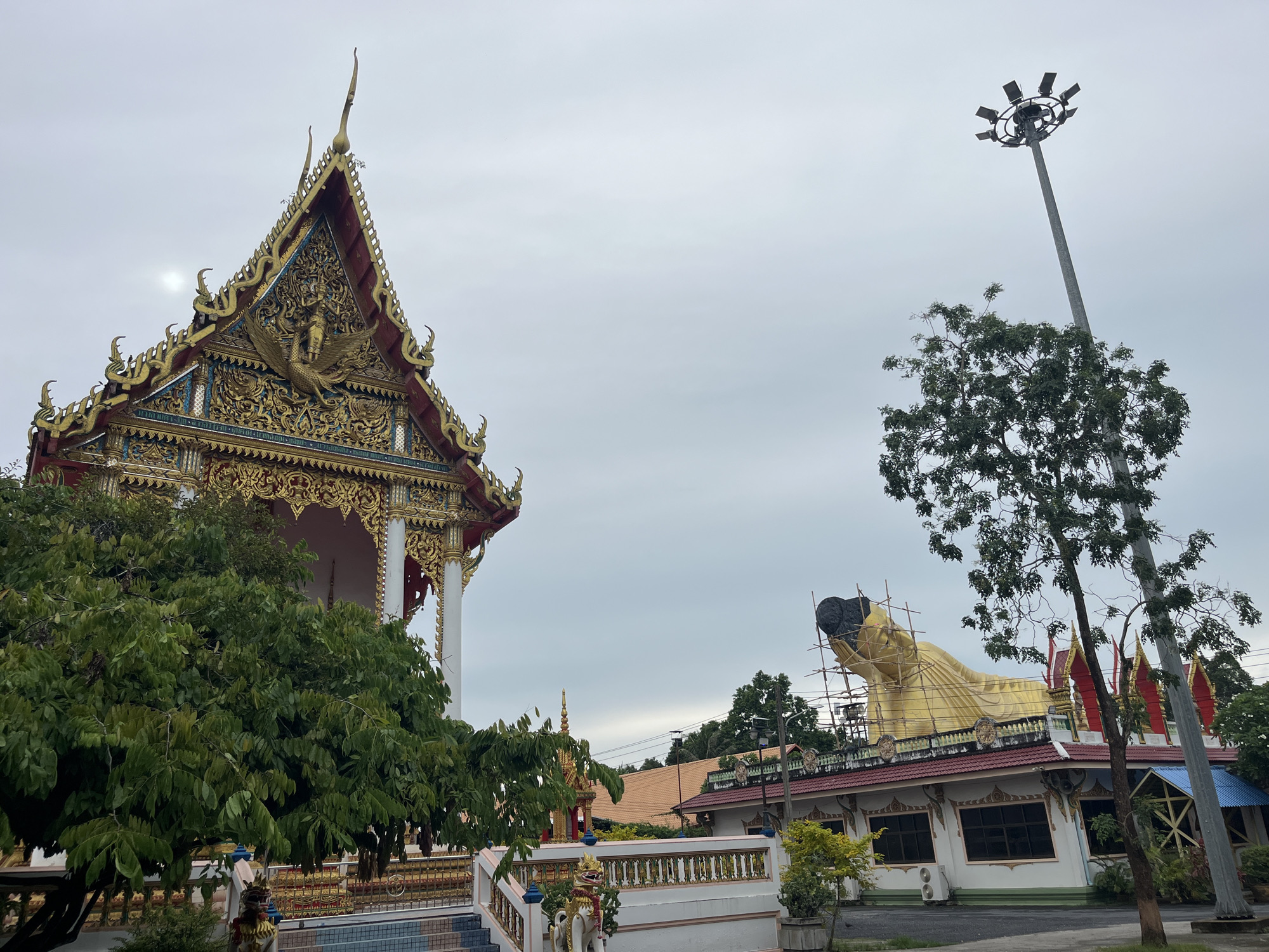 The image depicts an outdoor scene at a temple in Si Sunthon, Thailand. On the left, a golden and red temple facade with intricate ornamentation is visible, partially obscured by lush green trees. In the center and to the right, a large, golden reclining Buddha statue is under construction or renovation, supported by scaffolding. The Buddha is positioned on top of a building with a red tiled roof. In the background, more temple structures and trees are present. A tall lamppost with multiple lights stands to the right of the frame. The sky is overcast, suggesting a cloudy day.
