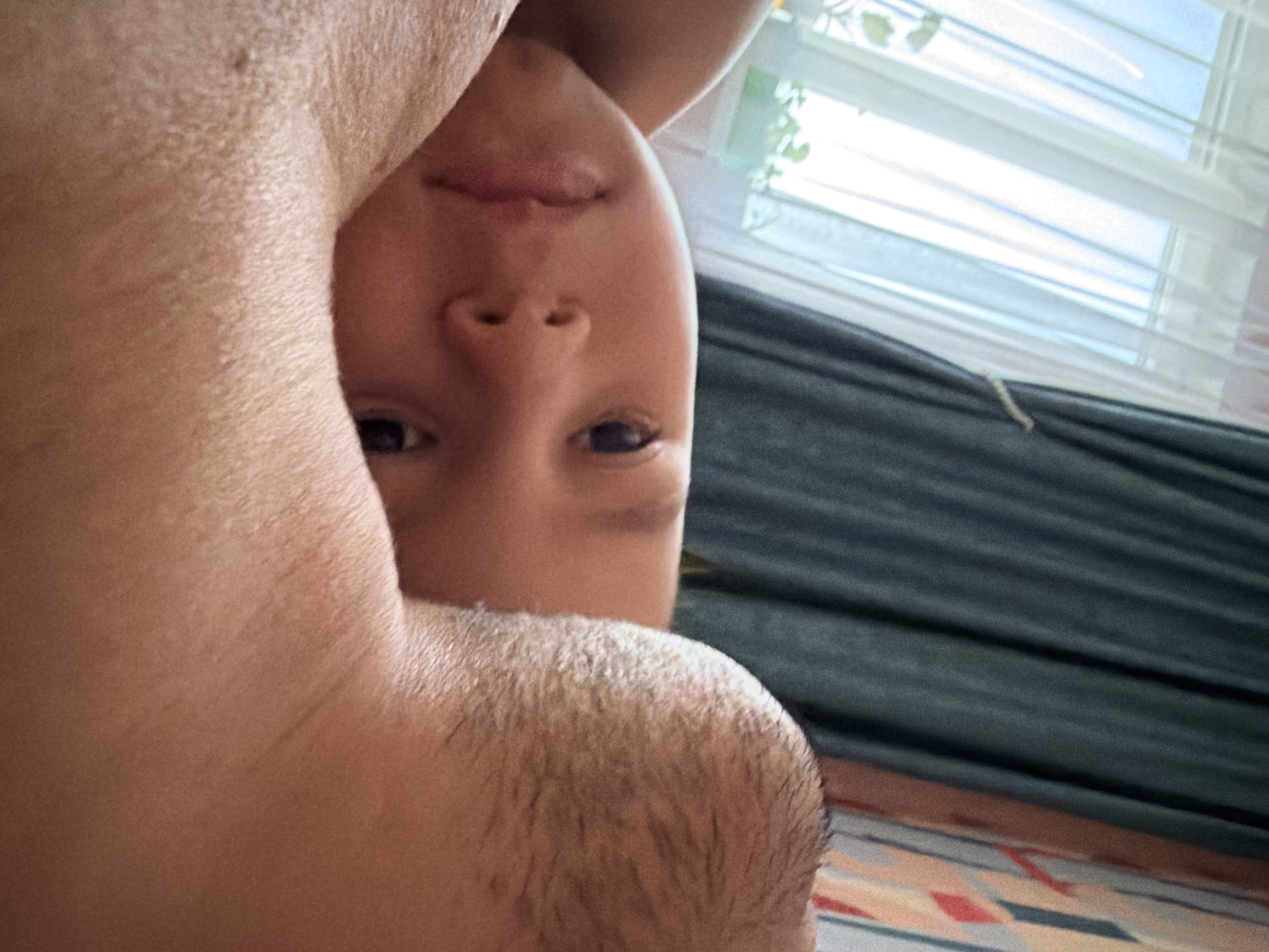 A close-up, upside-down shot shows a person's face, neck, and shoulder in front of a window with partially open blinds. The person's face is the primary focus, showing features such as eyes, nose, and mouth. The skin is fair. The person's shoulder is visible in the lower left corner, exhibiting short hairs. The background includes a window with white blinds and what appears to be a dark-colored curtain or drape. The location in the city of Chaikovsky, Russia cannot be verified from the image.