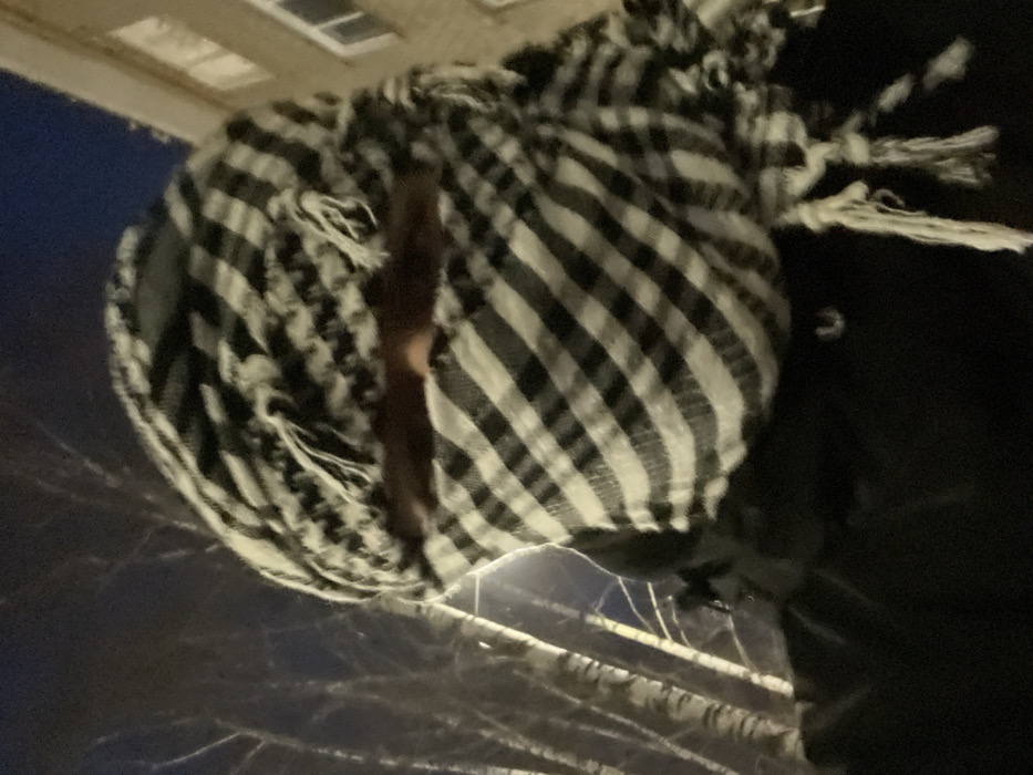 This image depicts an individual outdoors at night in Yelabuga, Russia. The subject is centrally positioned, viewed from a low-angle close-up, and wears a black and white checkered keffiyeh (shemagh) covering the head and face, with a narrow horizontal aperture revealing only the eyes. Tassels are visible along the lower edges of the keffiyeh. Dark-colored clothing is visible on the subject's upper body below the keffiyeh. The background to the left shows several bare-branched trees with light-colored trunks against a dark sky. To the right, a portion of a light-colored, multi-story building with illuminated windows on an upper floor is visible. The scene is illuminated by an artificial light source.