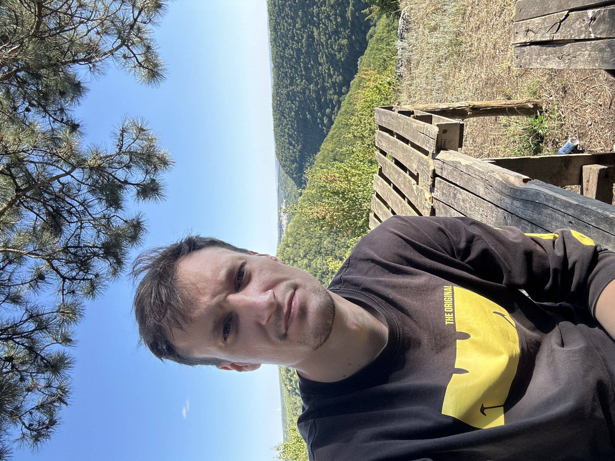 A man with short brown hair and a light beard is taking a selfie outdoors. He is wearing a dark long-sleeved shirt with a large yellow smiley face graphic and the words "THE ORIGINAL" printed on it. He is looking directly at the camera with a neutral expression. To his right, there is a rustic wooden table made of pallets, and a lower wooden surface. The background consists of a lush, green, tree-covered valley under a clear blue sky. Pine branches hang from the top of the frame. The location is Pryvorottia Druhe, Ukraine.