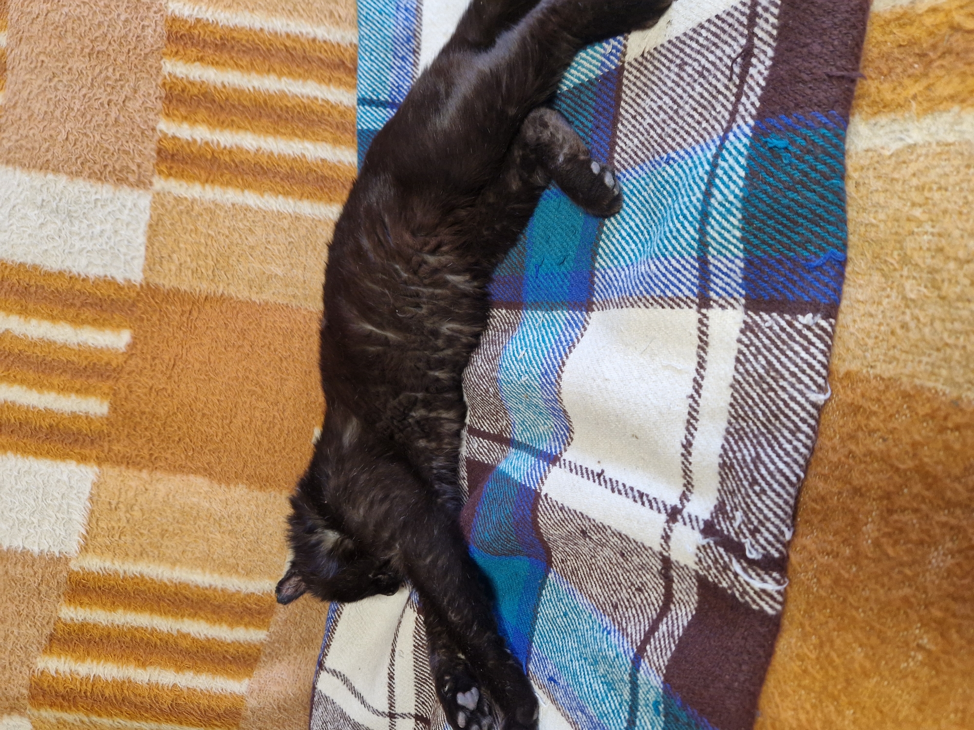 A black cat is lying on a patterned blanket. The blanket is placed on a brown and orange striped surface. The cat is fully outstretched, with its head on the left and paws on the right side of the image. The cat appears to be sleeping or resting. The location is not specified and cannot be determined from the image.