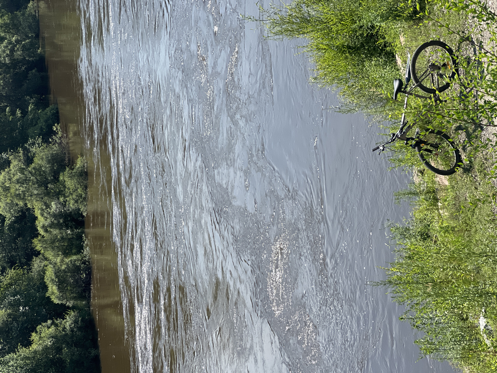 The image captures a scenic view of the river in Khor, Russia, on a sunny day. A bicycle is parked on the grassy bank, surrounded by lush green vegetation. The river itself is wide and appears to be flowing with moderate speed, reflecting the bright sunlight. In the background, a dense forest lines the opposite bank, adding to the natural beauty of the landscape. The scene evokes a sense of peace and tranquility, suggesting an ideal spot for outdoor recreation.